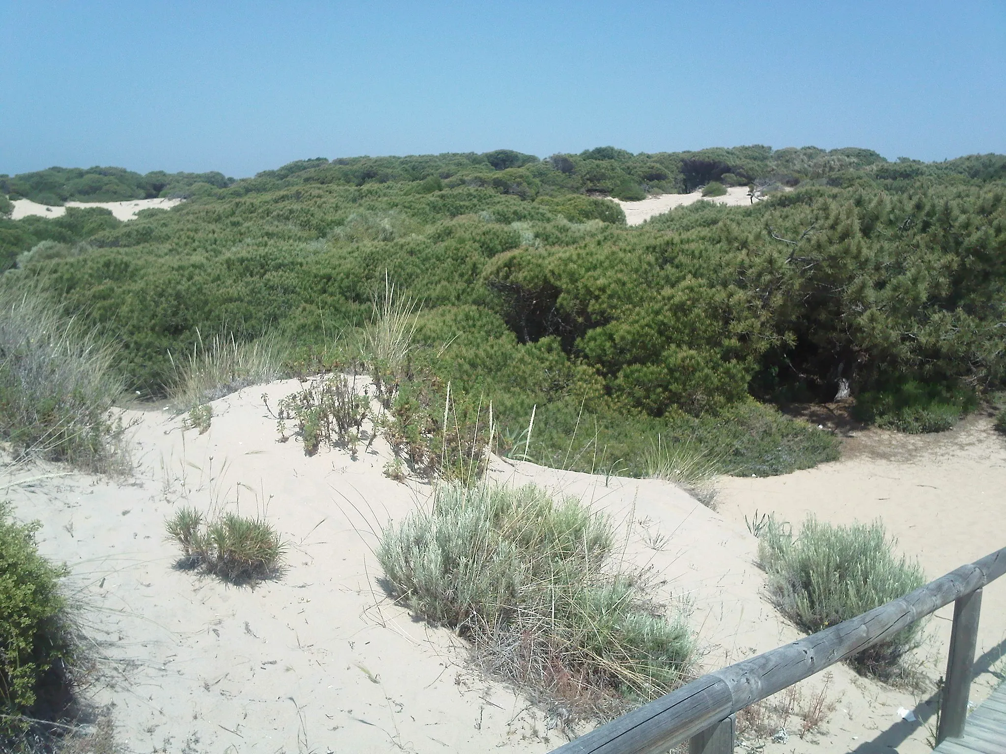 Photo showing: This is a photography of a Special Area of Conservation in Spain with the ID: