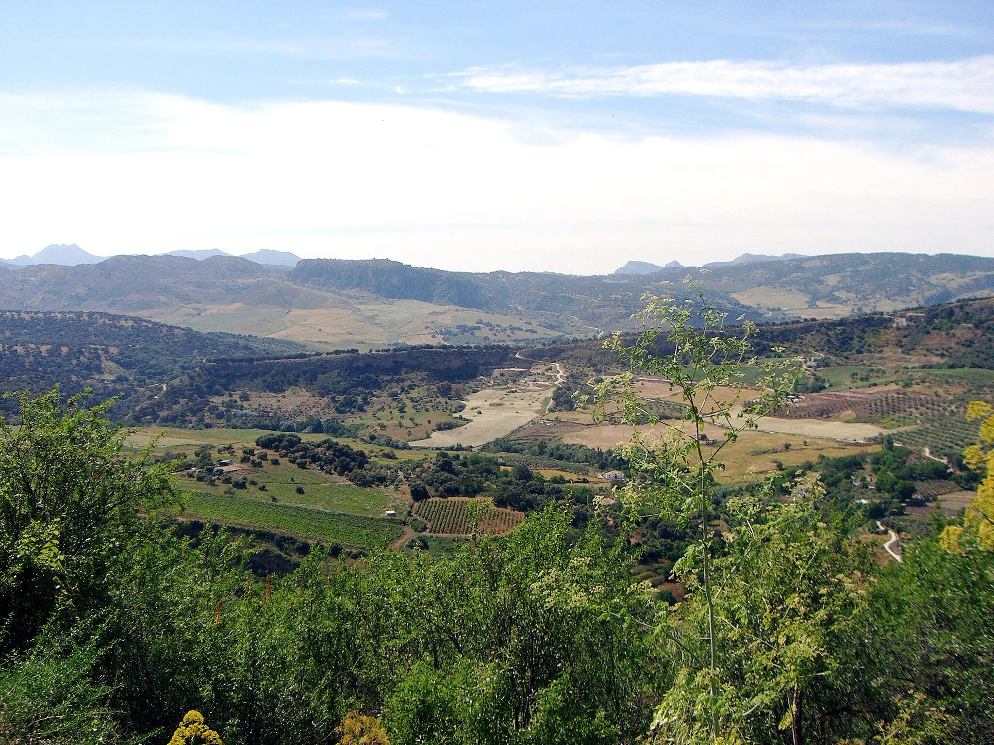 Photo showing: Hoya de Ronda, Spain.