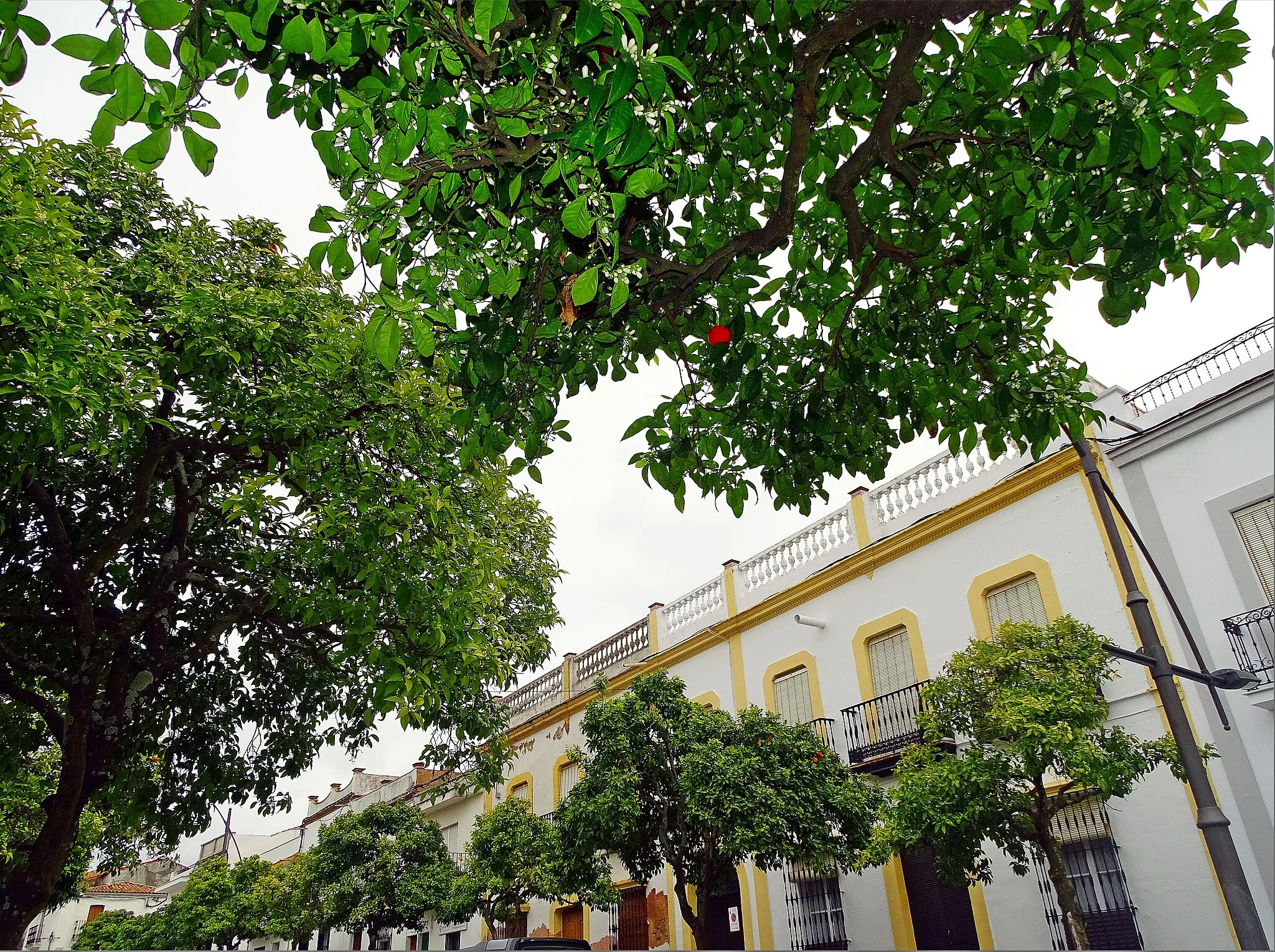 Photo showing: Valverde del Camino.