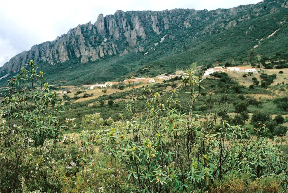 Photo showing: Gum rock roses and buildings at Sierra Madrona. Mestanza, Ciudad Real, Castile-La Mancha, Spain