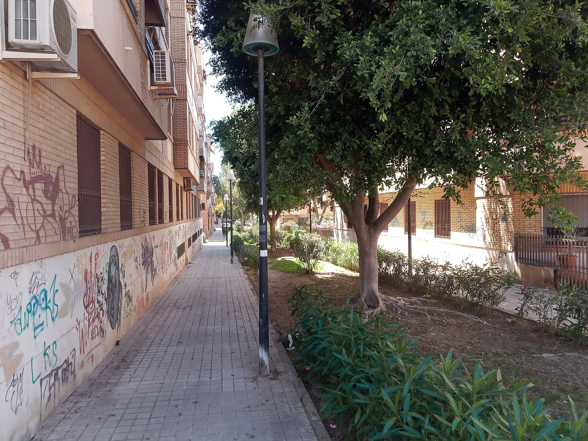 Photo showing: Calle en el barrio de Nueva Andalucía