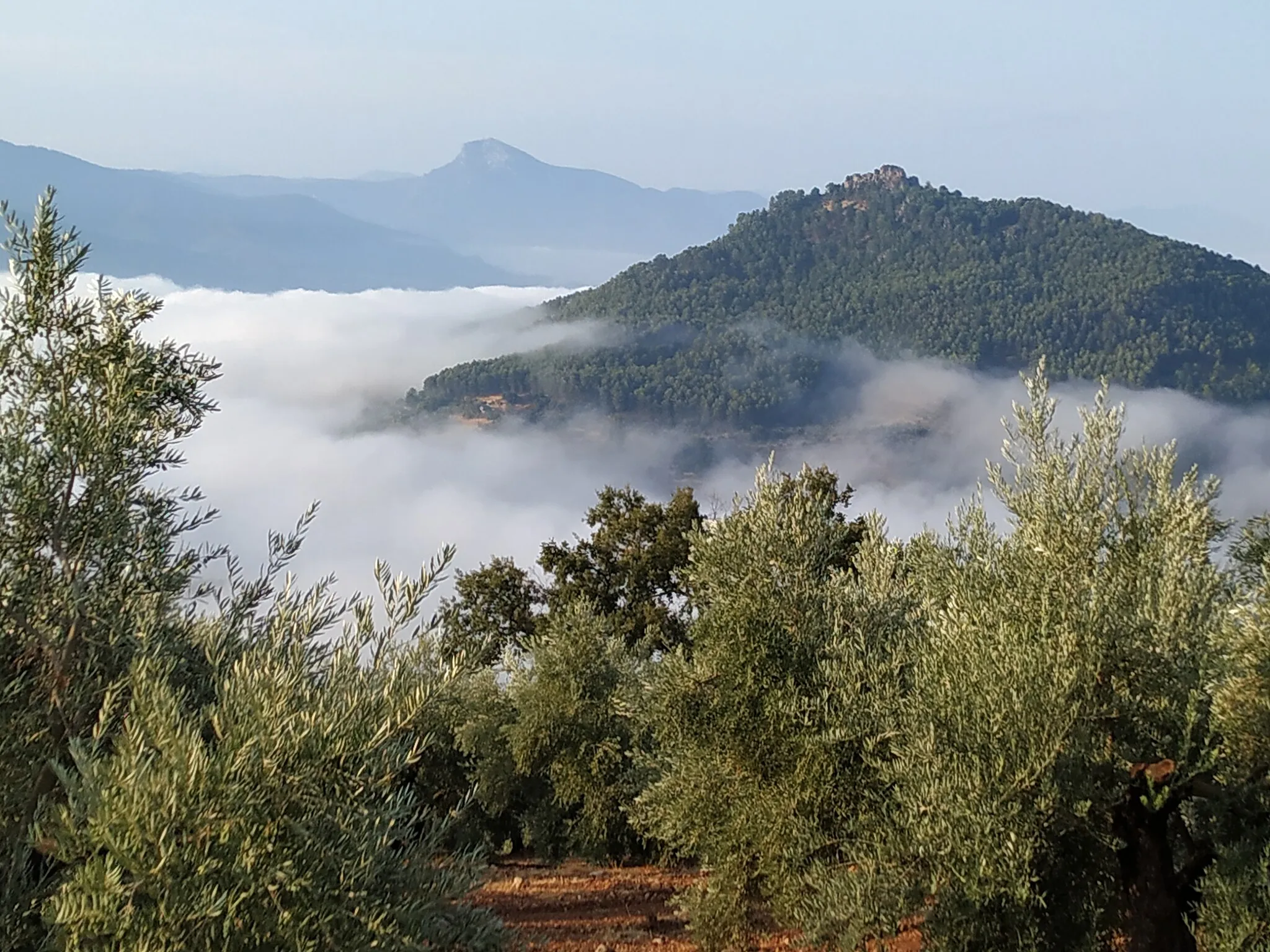 Photo showing: Flotando sobre las nubes. Fuente Carrasca