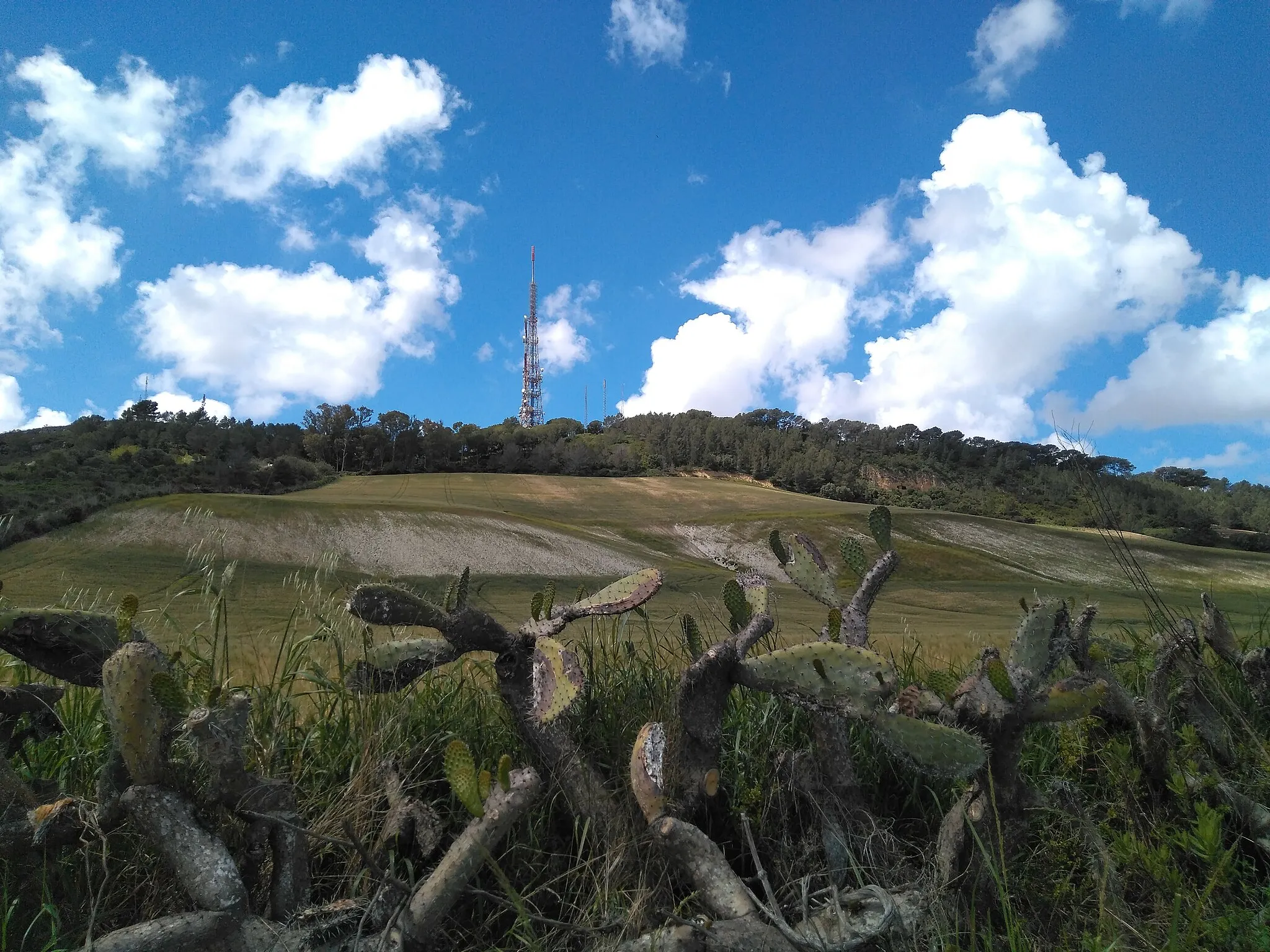 Photo showing: sierra de San Cristóbal desde Jerez