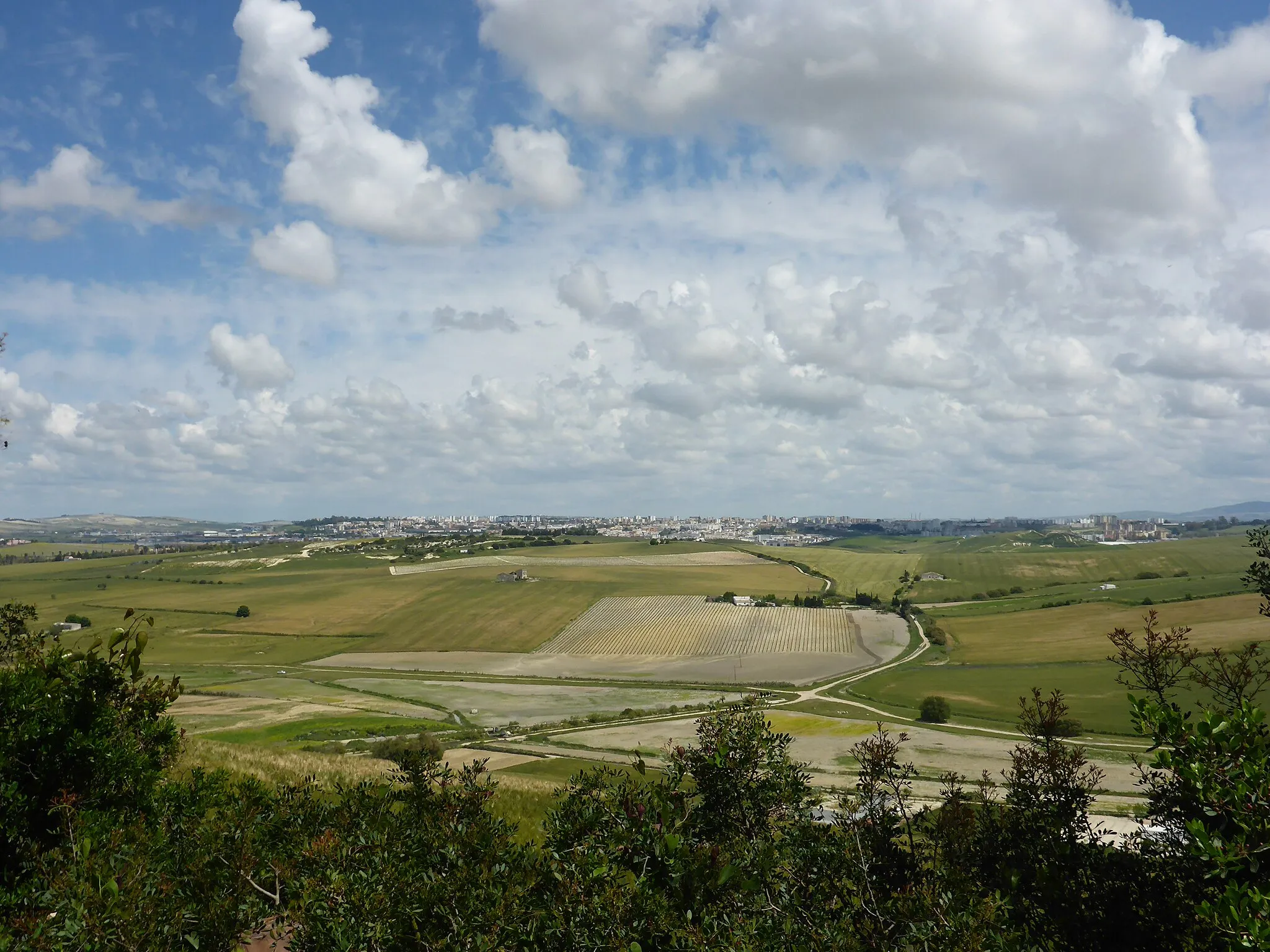 Photo showing: Vista de Jerez desde la Sierra San Cristóbal