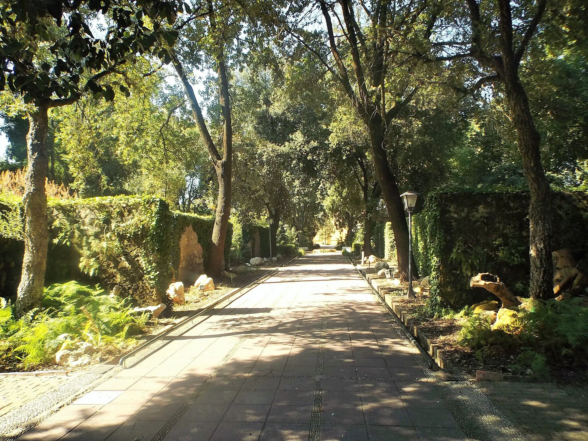 Photo showing: Un camino en el Real Jardín Botánico de Córdoba (España), caminando hacia el Museo de Etnobotánica. Julio 2016.
