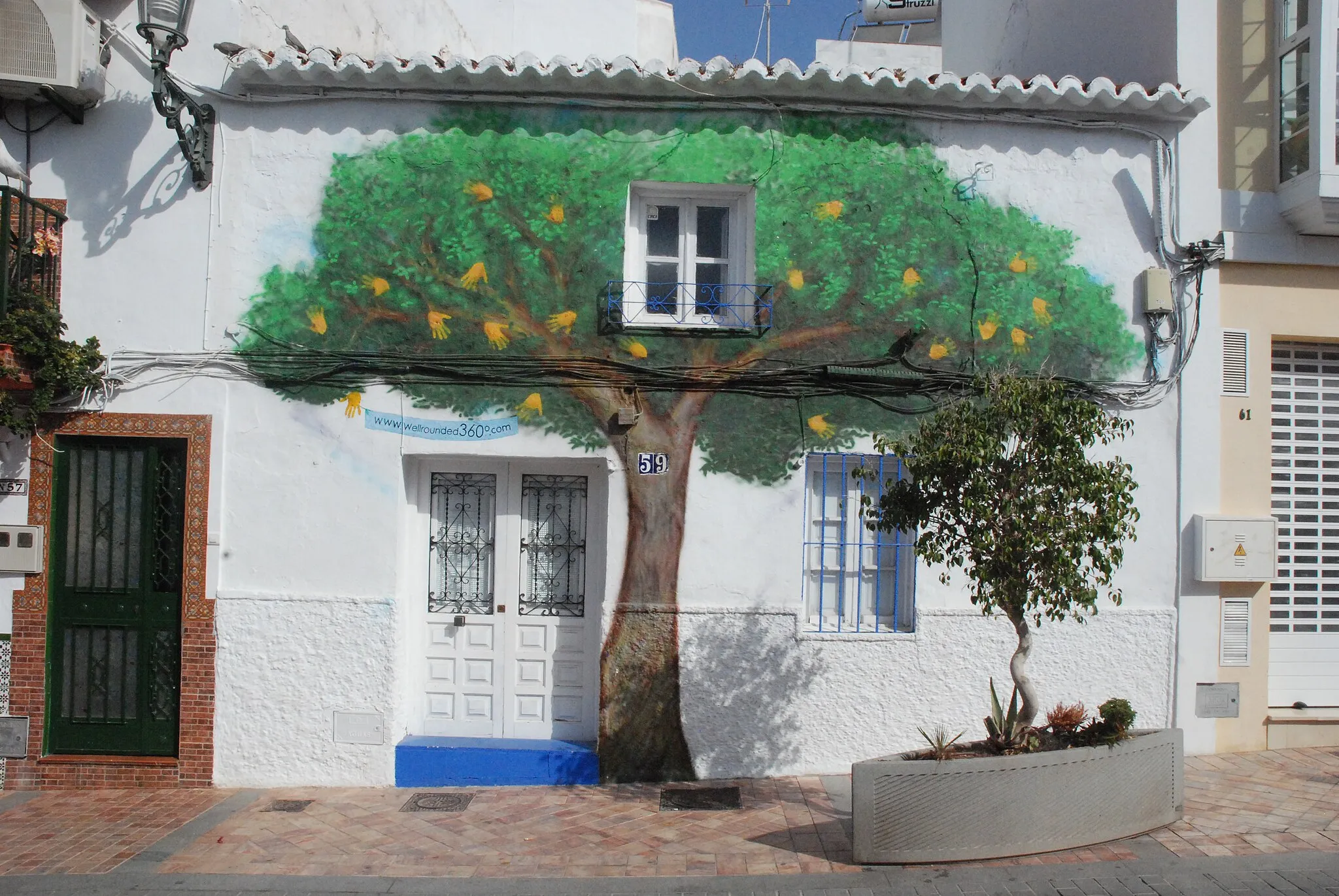Photo showing: House with wallimage of tree
