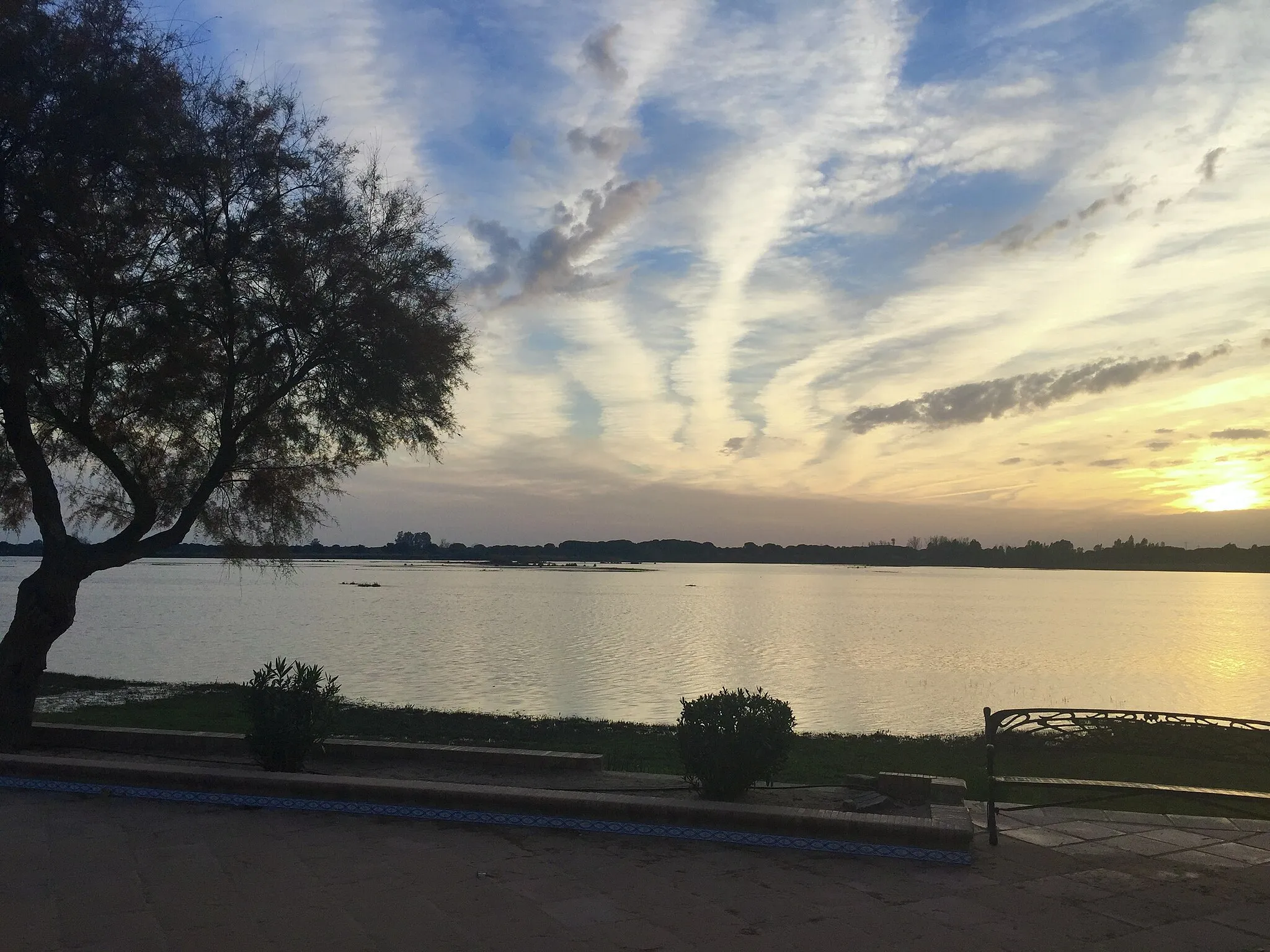 Photo showing: El Rocío’s Marshlands