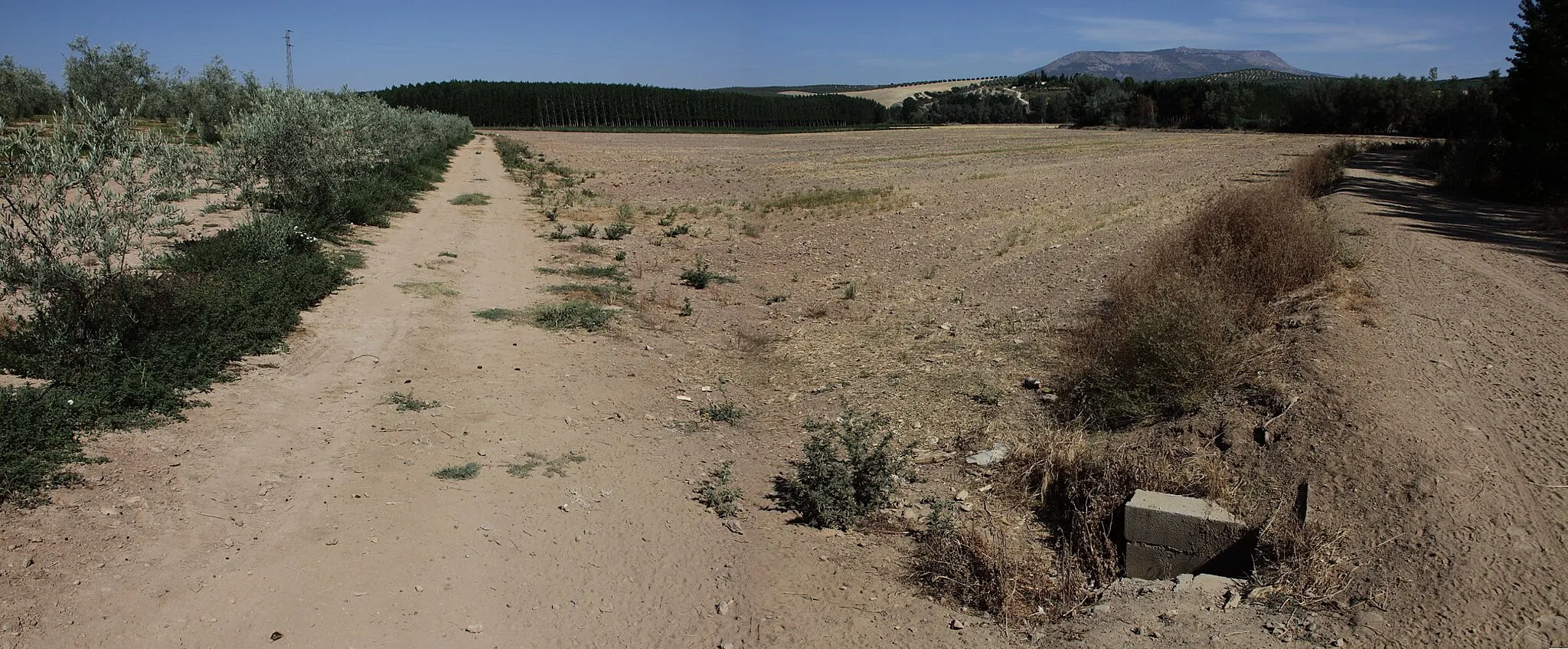 Photo showing: La vega de Granada en la localidad de Trasmulas, término municipal de Pinos Puente.