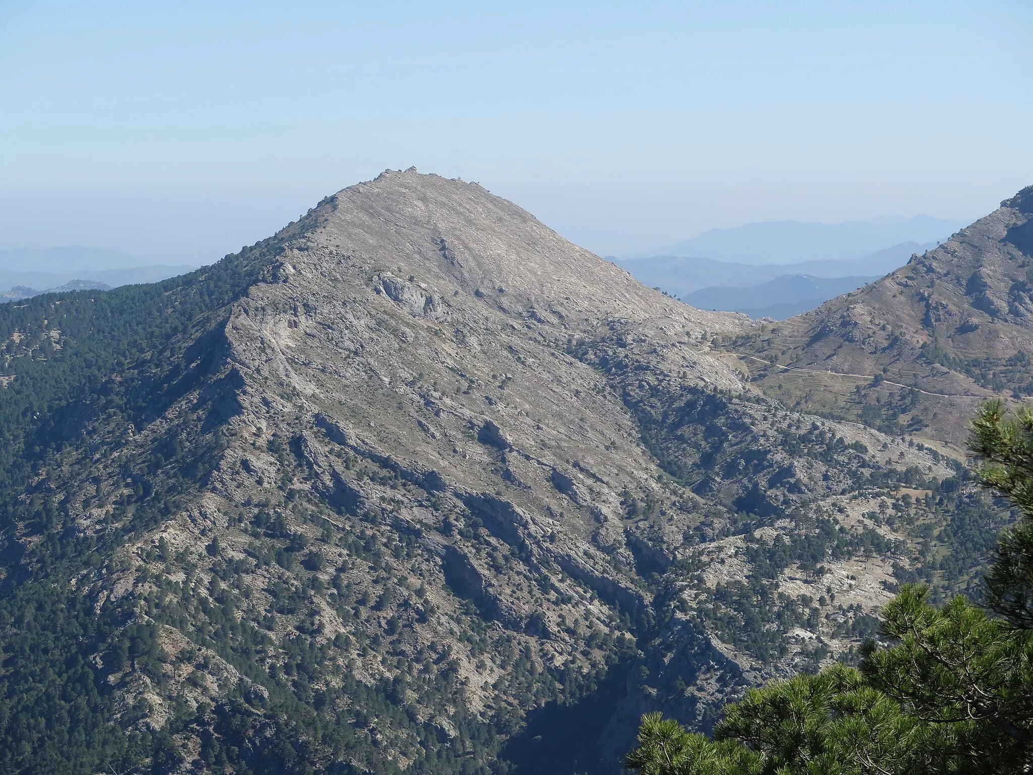 Photo showing: Vista de la Raspa de Caballo Torraso, desde el Blanquillo.