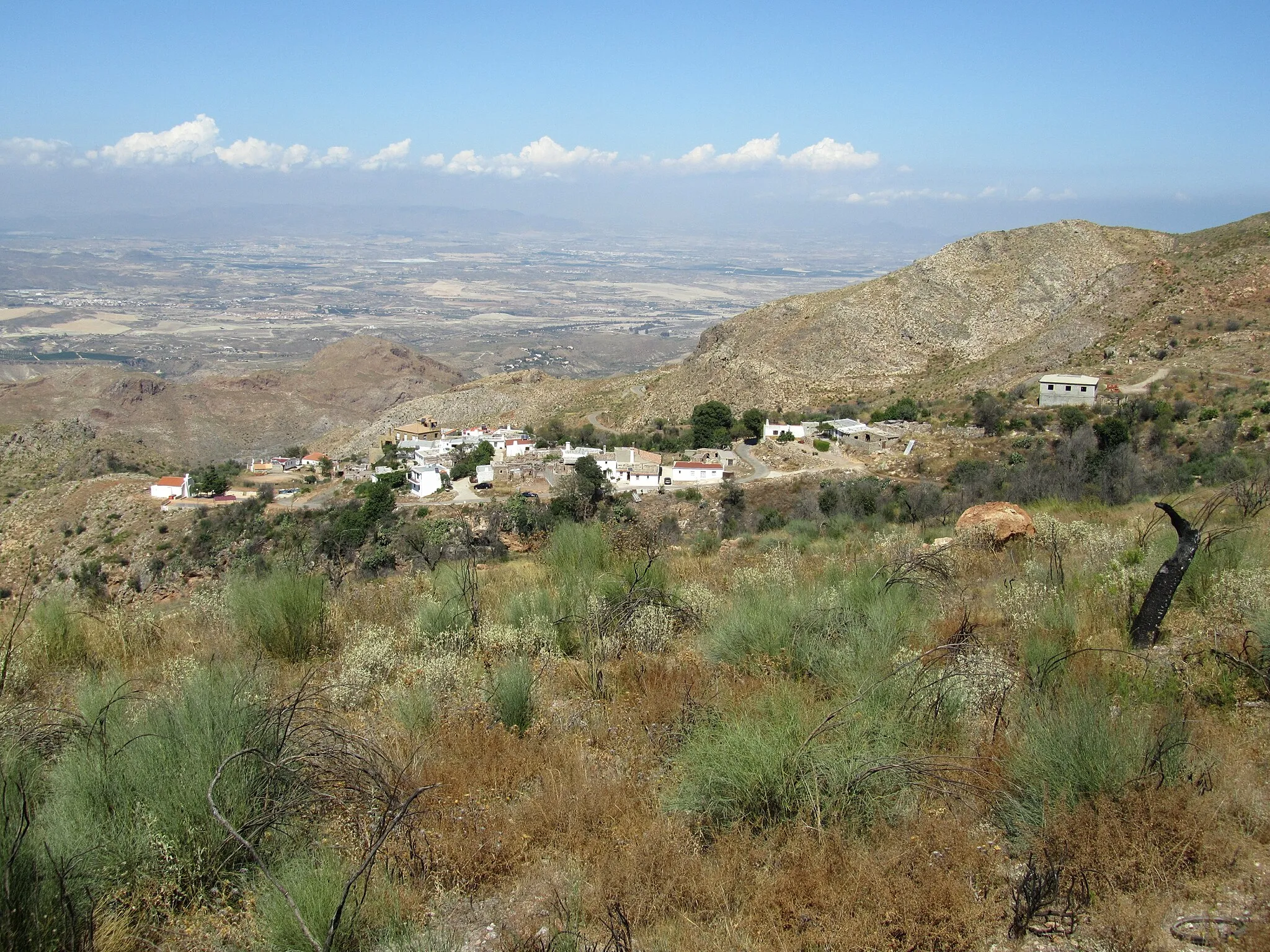 Photo showing: La carrasca (5)