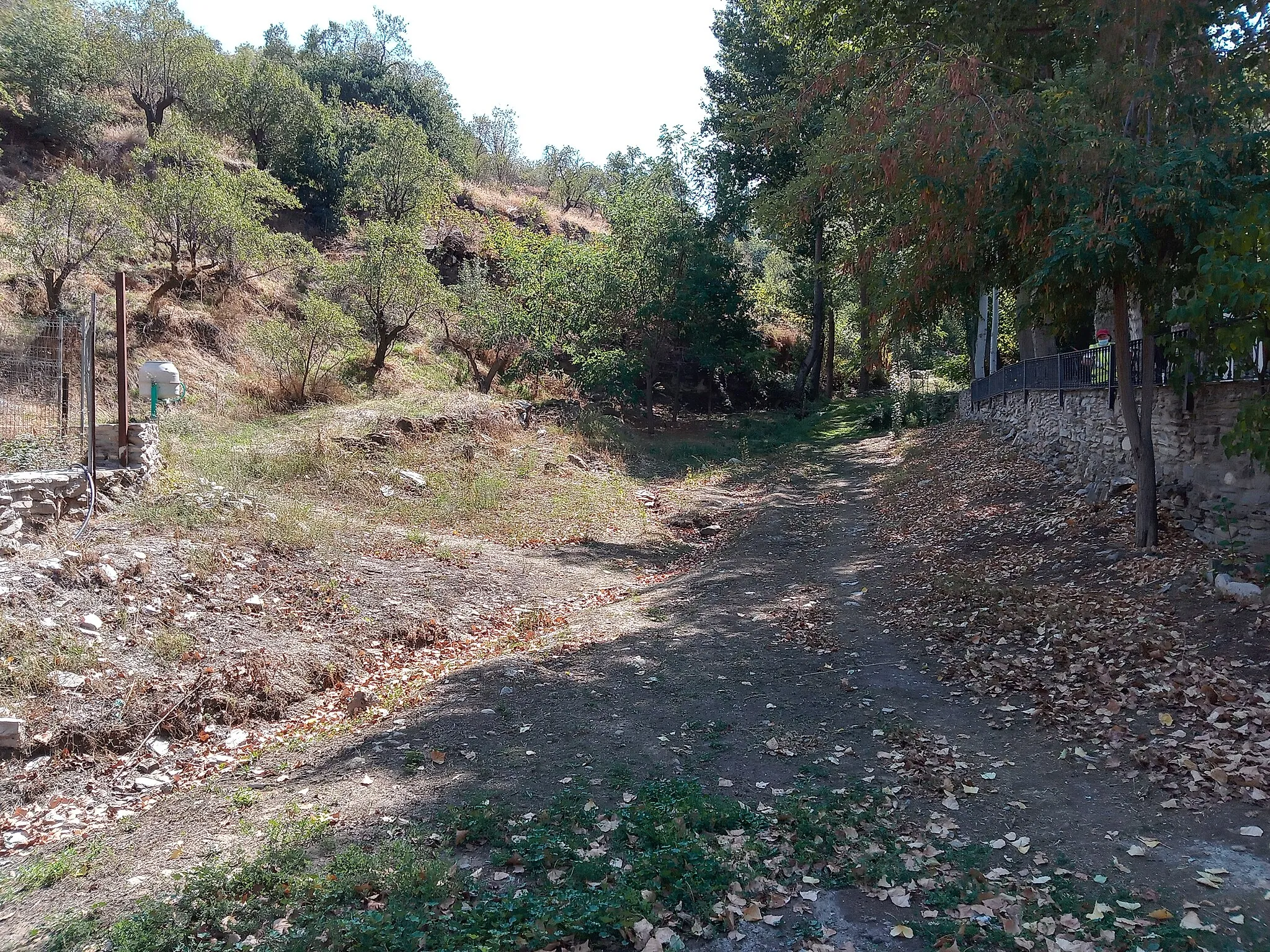 Photo showing: Cauce del río Bacares a su paso por el pueblo.