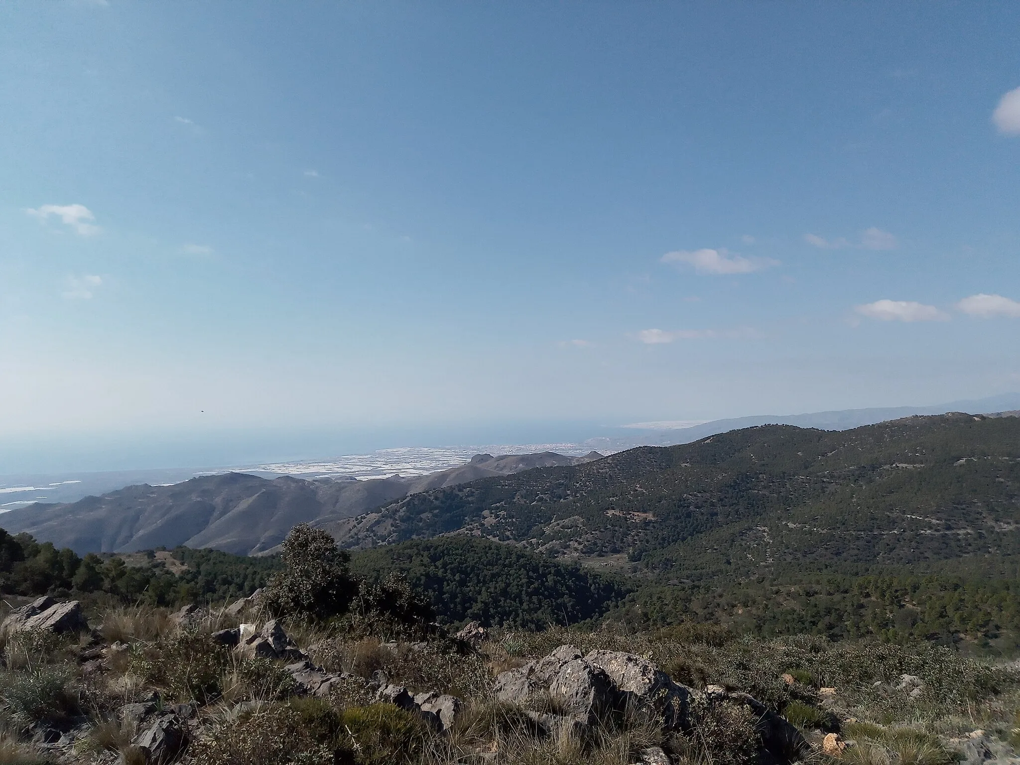 Photo showing: Vistas del bosque de encinas de la cara sur de Sierra Alhamilla y del Golfo de Almería desde el pico del Colativí.
