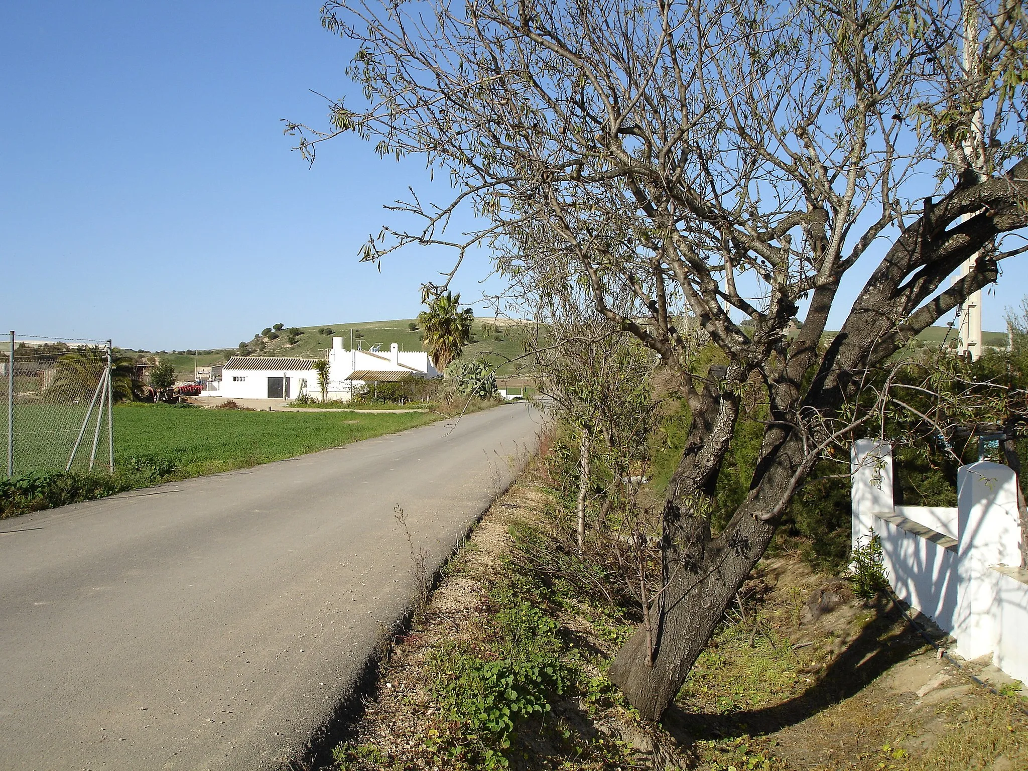 Photo showing: La Greduela, Jerez (Spain)