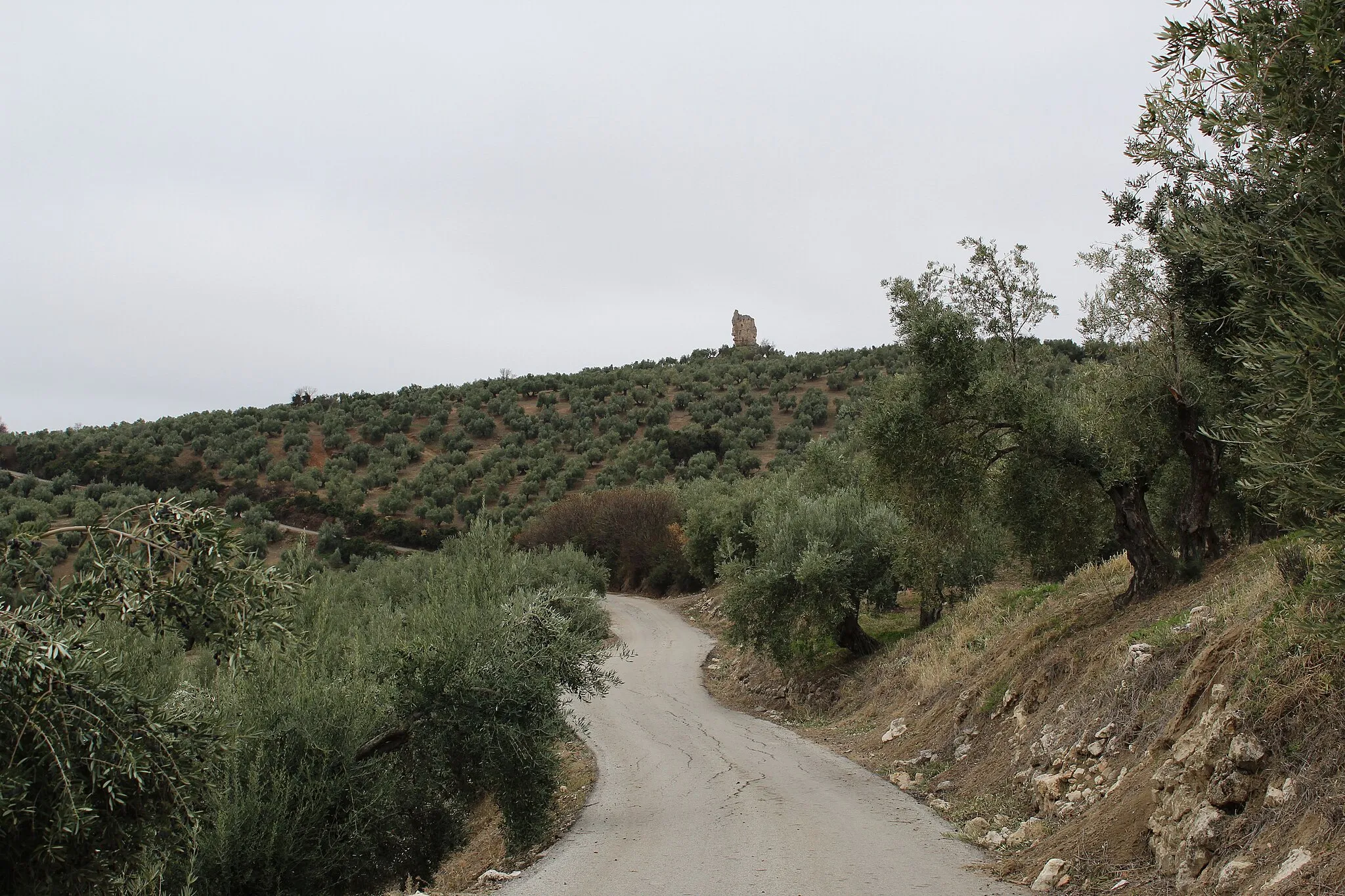 Photo showing: Vista de la Torre Bermeja desde el camino de Pedro Codes.