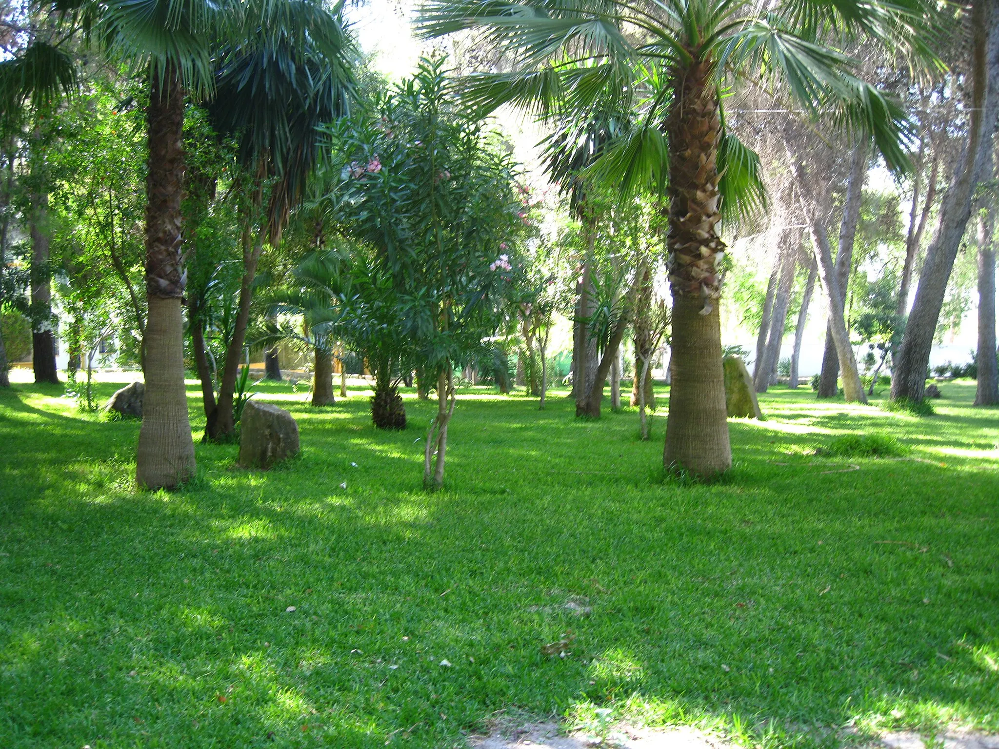 Photo showing: Interior del parque de Guadalema de los Quintero (Sevilla, España)