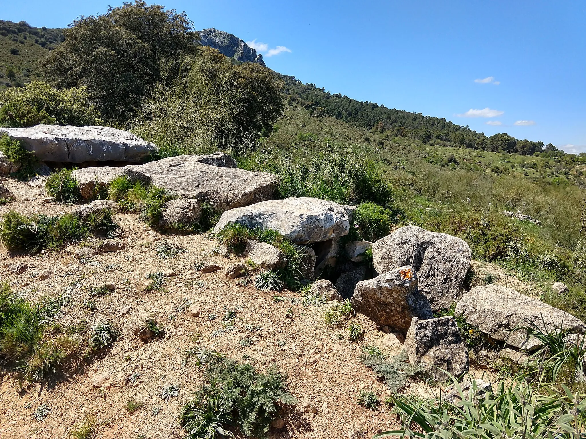 Photo showing: Vista longitudinal del Dolmen del Gigante, en Montecorto, en abril de 2018.