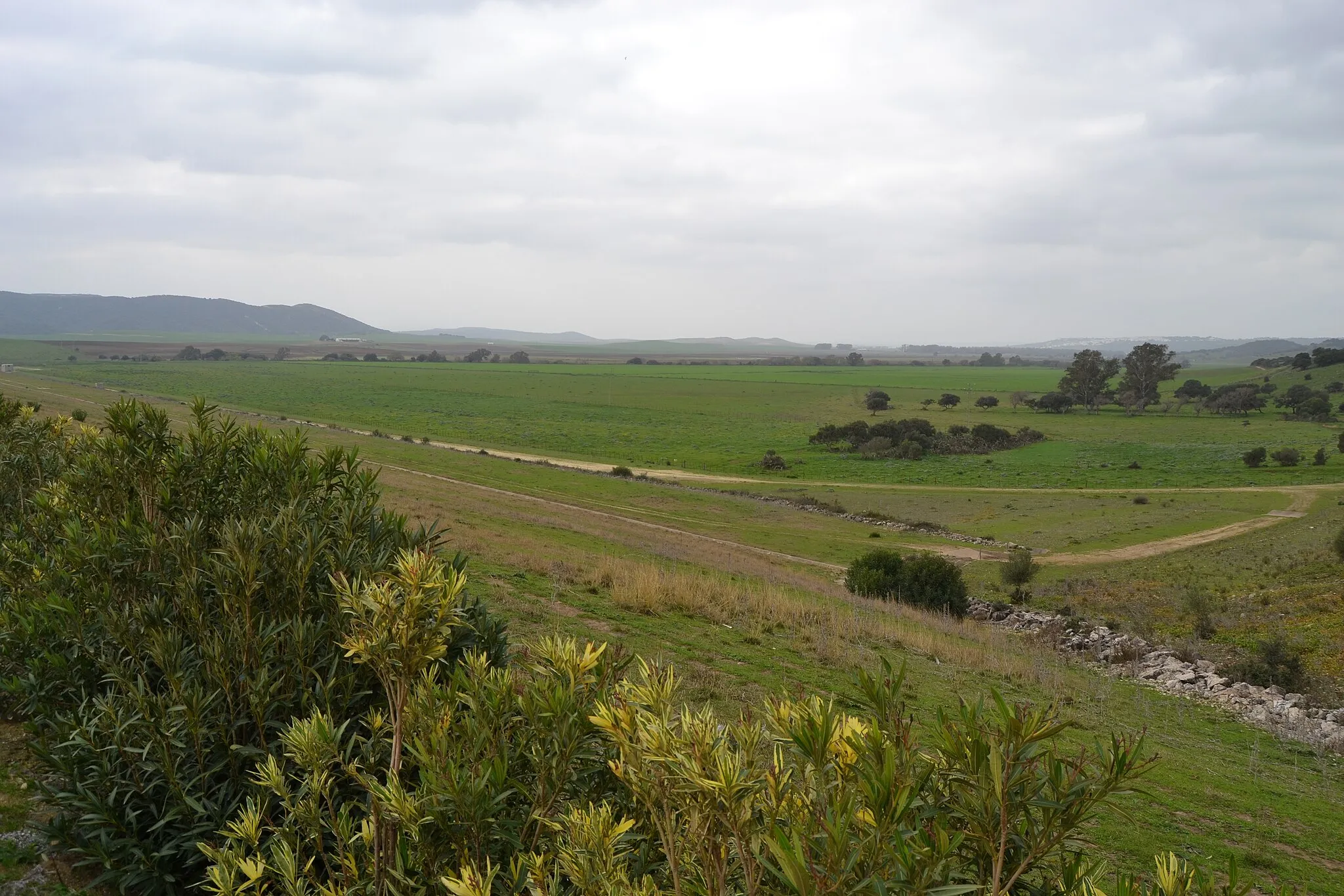 Photo showing: Embalse de Barbate, provincia de Cádiz, España