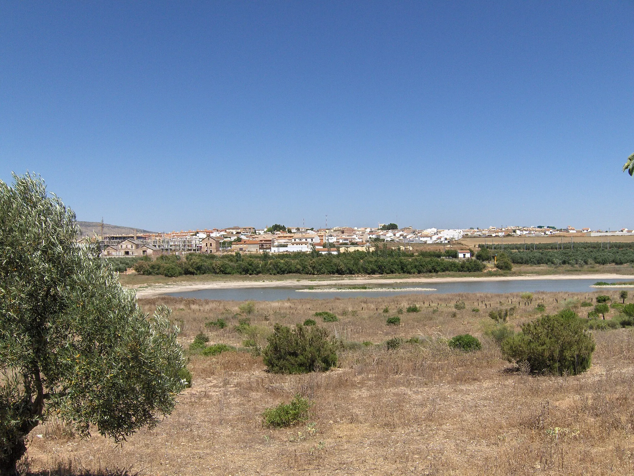 Photo showing: View of Fuente de Piedra