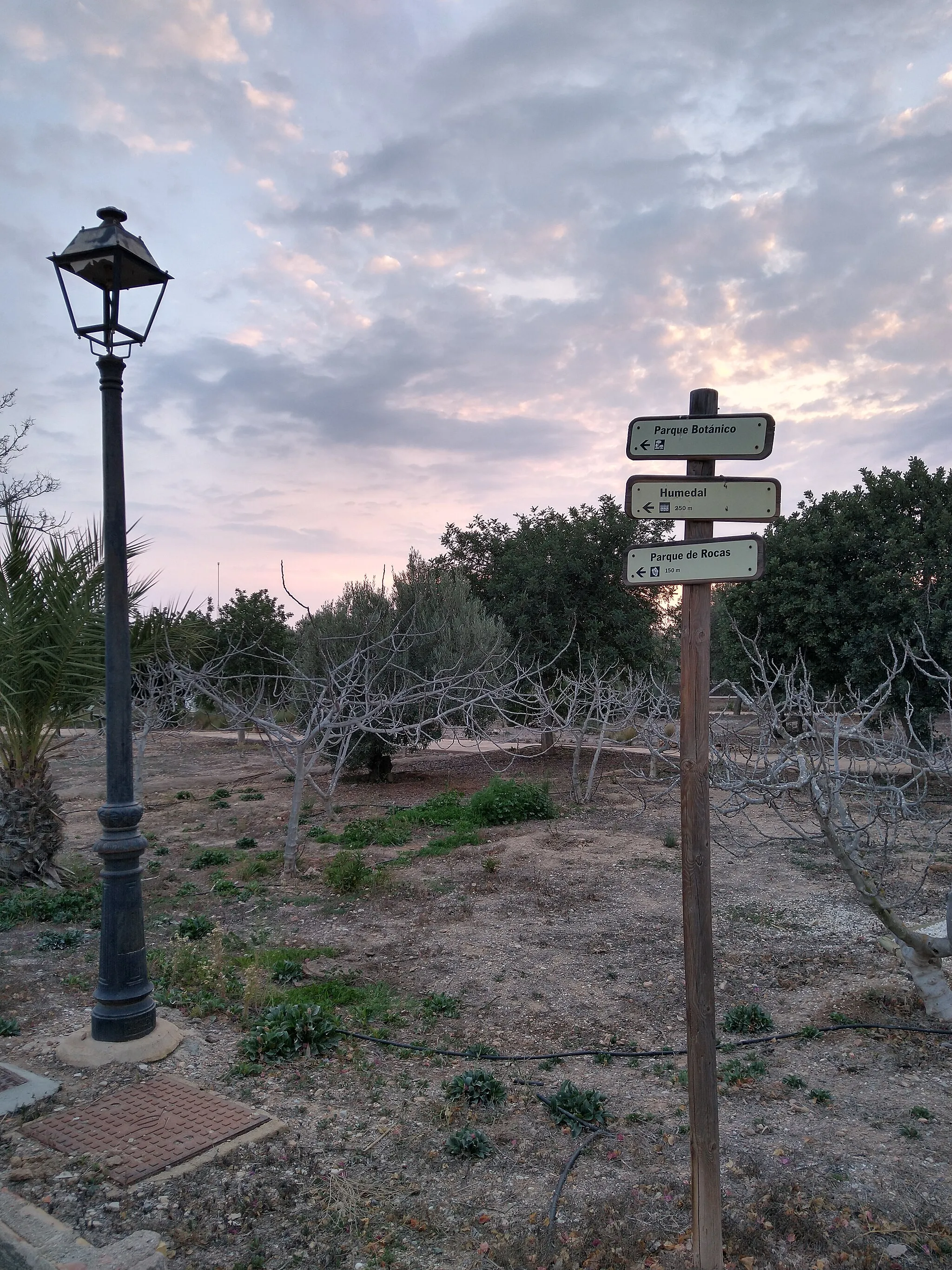 Photo showing: Paseo por el parque del Boticario en febrero de 2022.