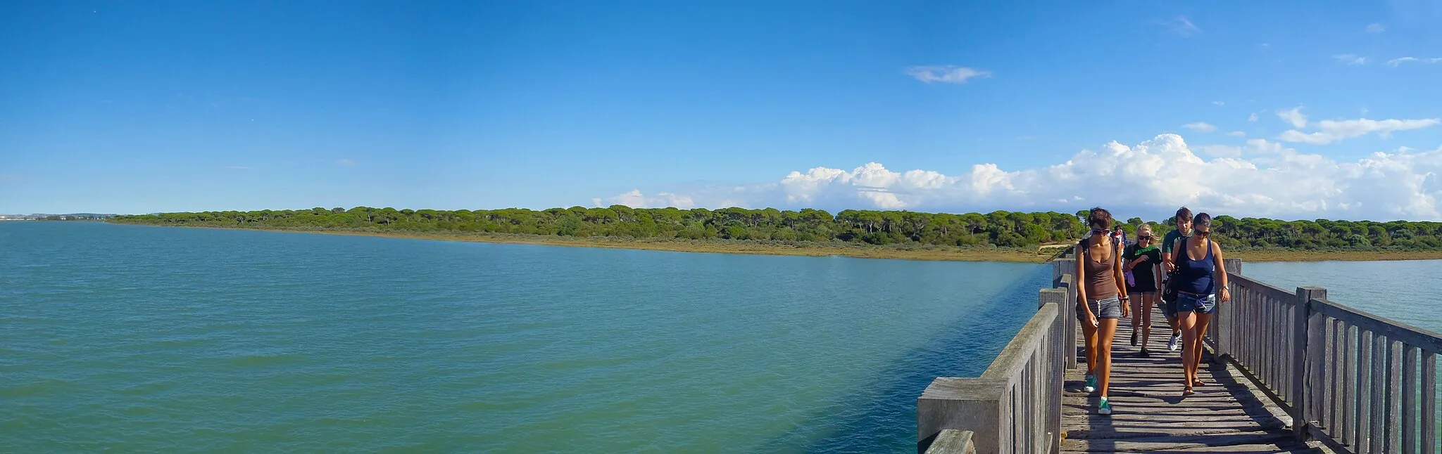 Photo showing: Río San Pedro wooden bridge