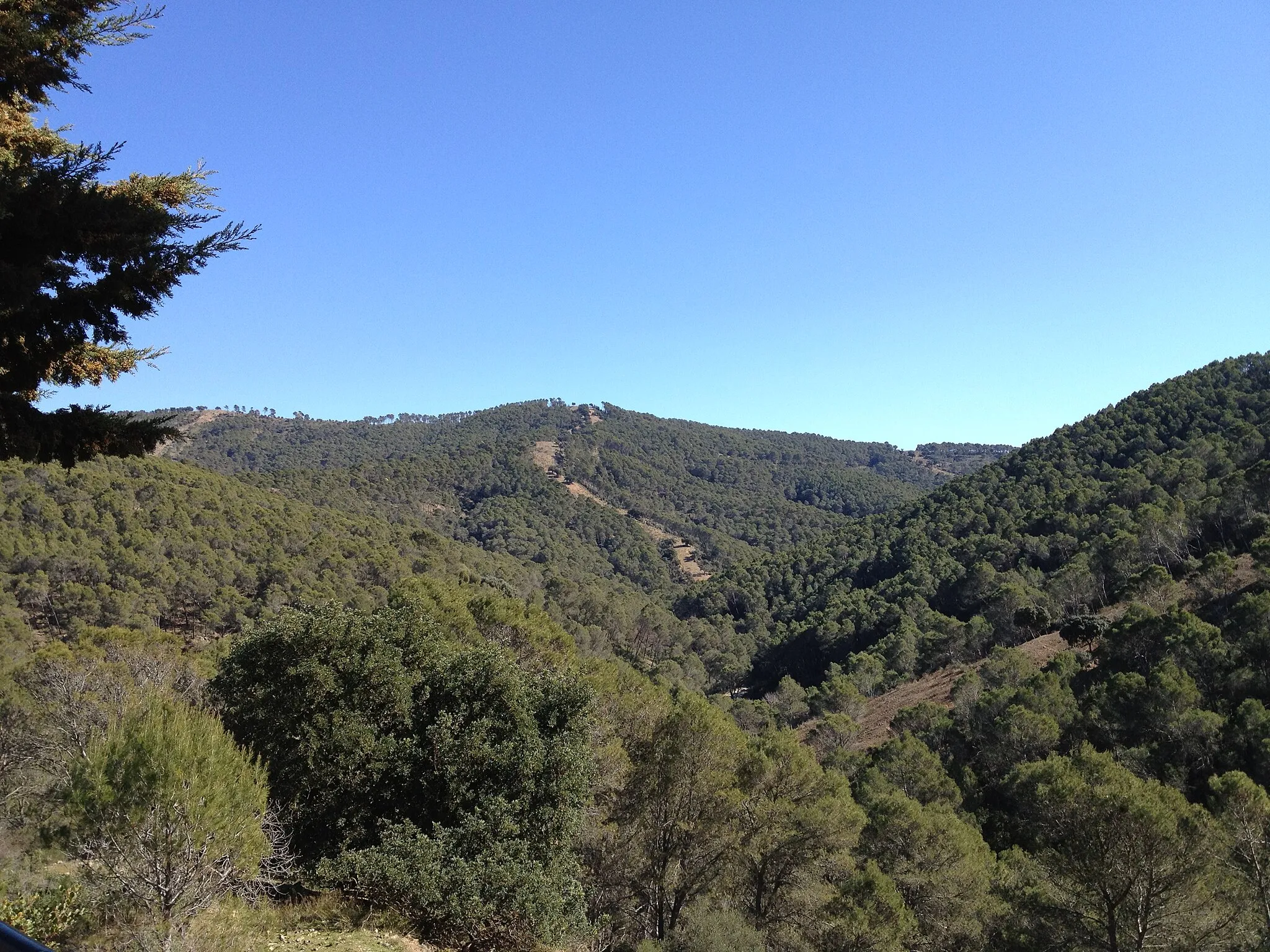 Photo showing: Montes de Málaga