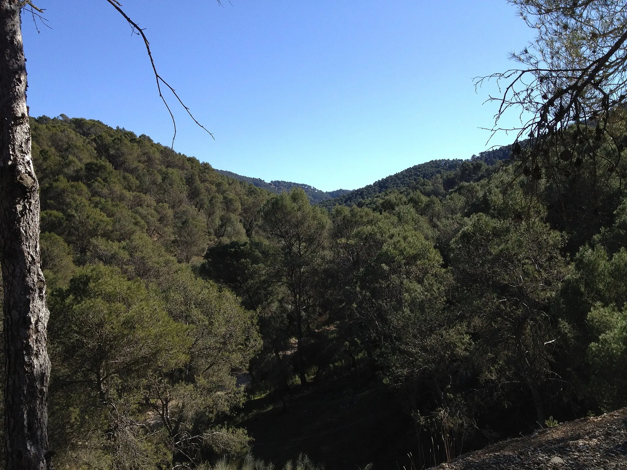 Photo showing: Montes de Málaga