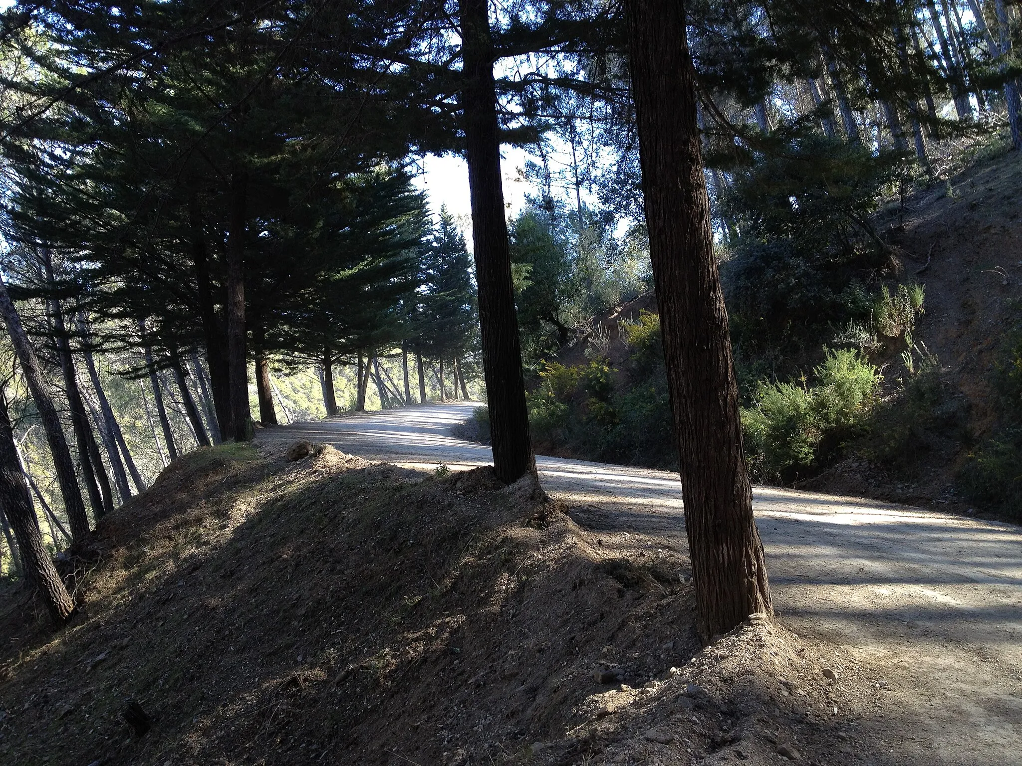 Photo showing: Montes de Málaga