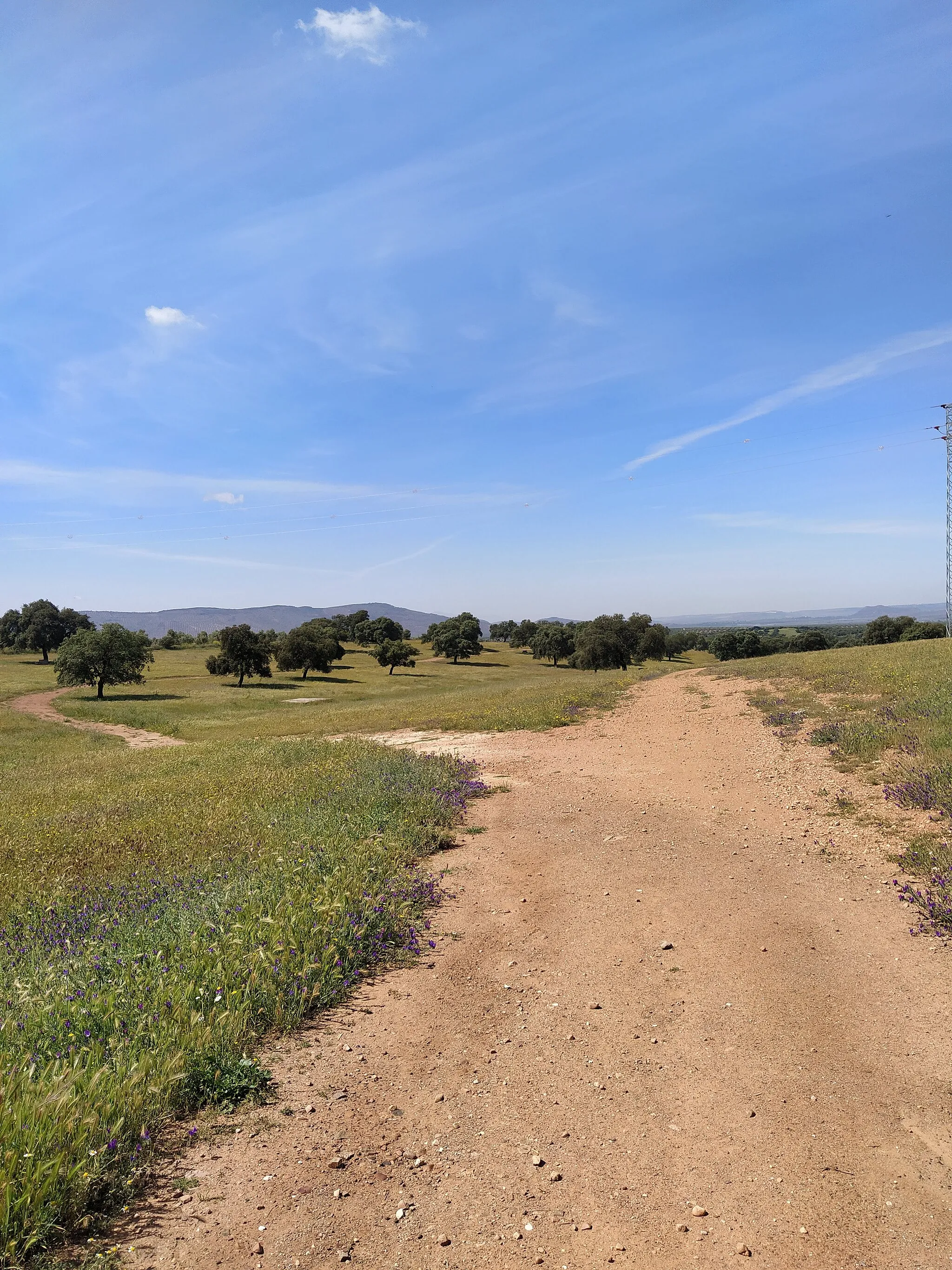 Photo showing: Finca la Carnicera