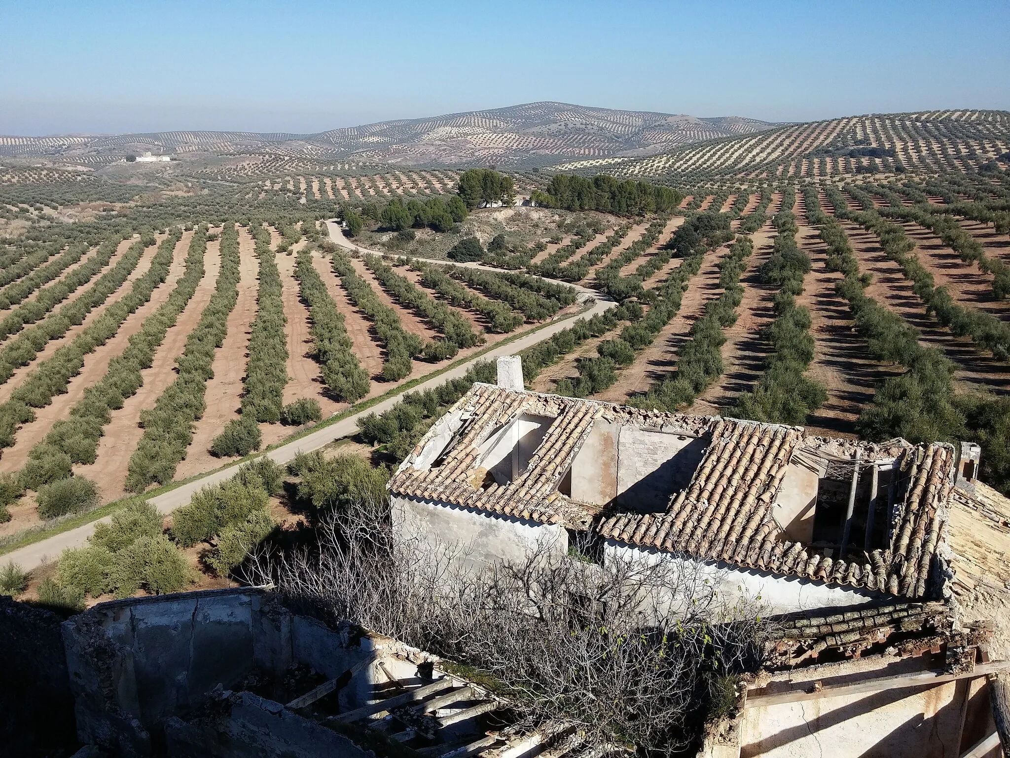 Photo showing: Vistas desde el cortijo más alto de El Castil, del olivar y de La Muña al fondo a la izquierda.