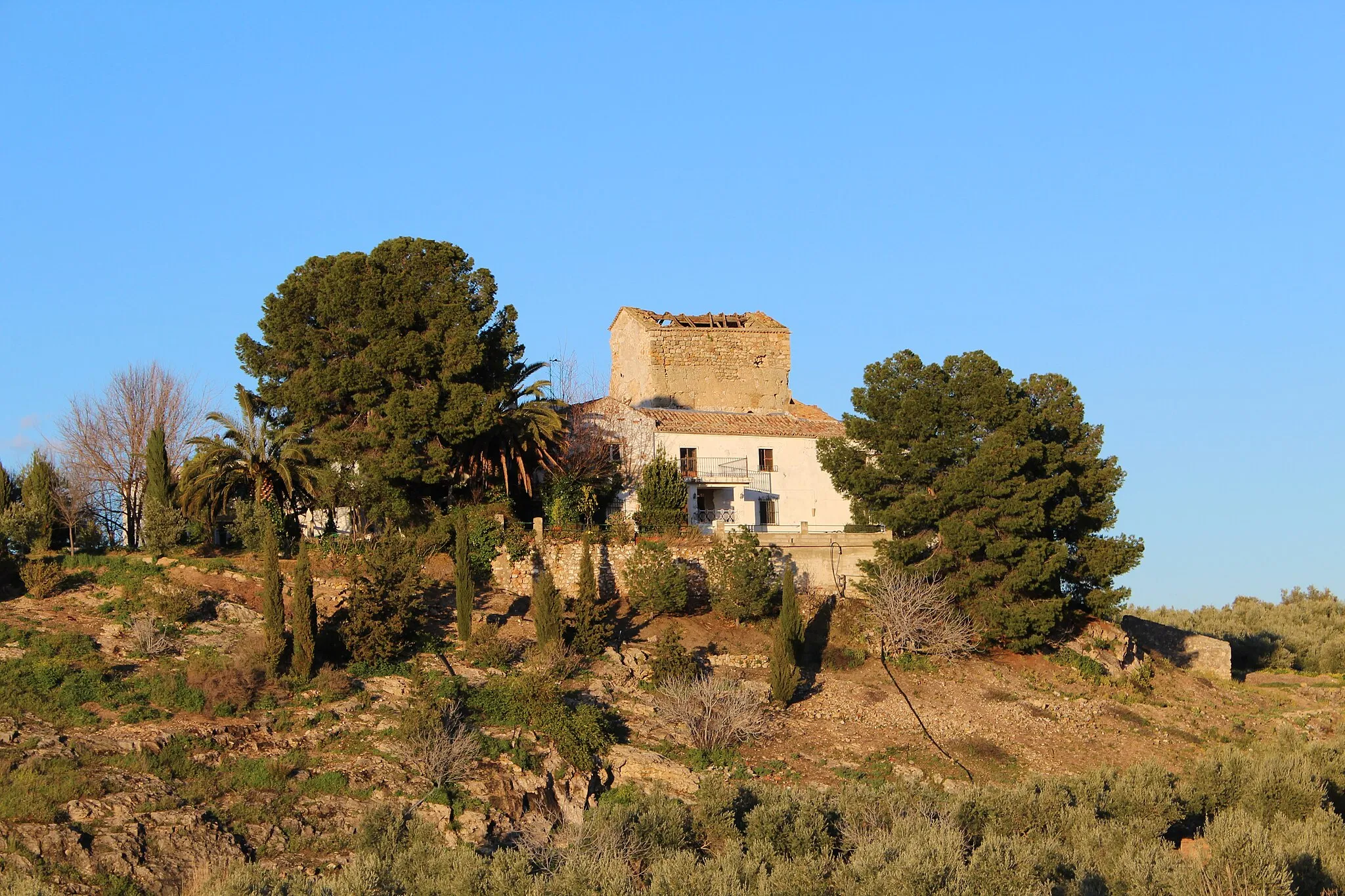 Photo showing: La edificación medieval de El Término, entre pinos.