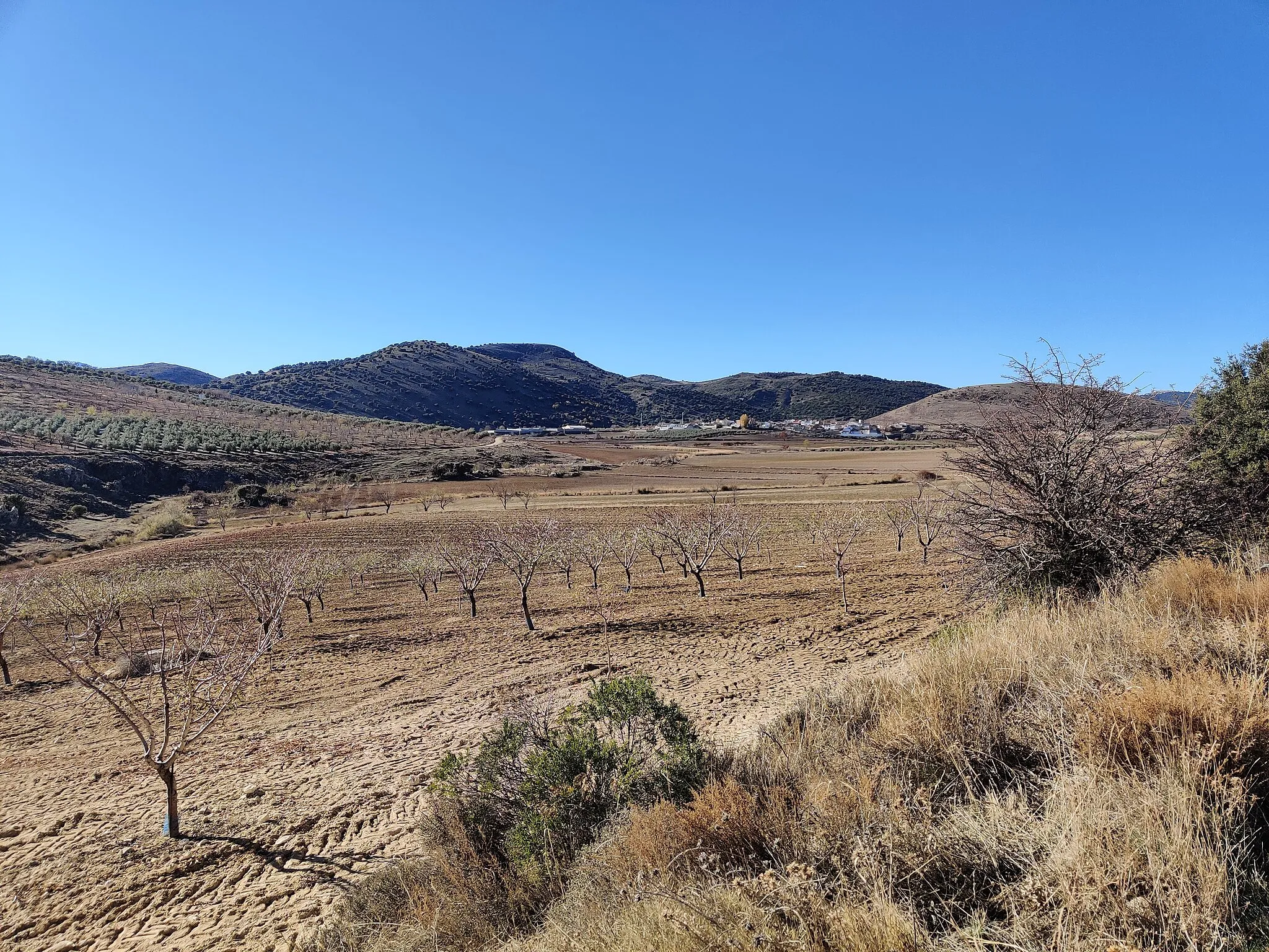 Photo showing: Vista lejana de Los Villares, pedanía de La Peza, provincia de Granada.