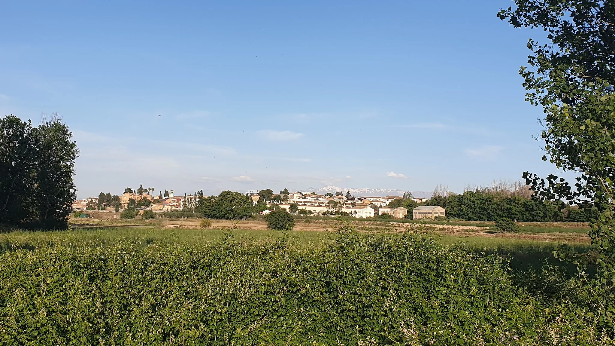 Photo showing: La localidad de Láchar vista desde el oeste, en el paraje de la vega de Láchar, en la provincia de Granada (España)