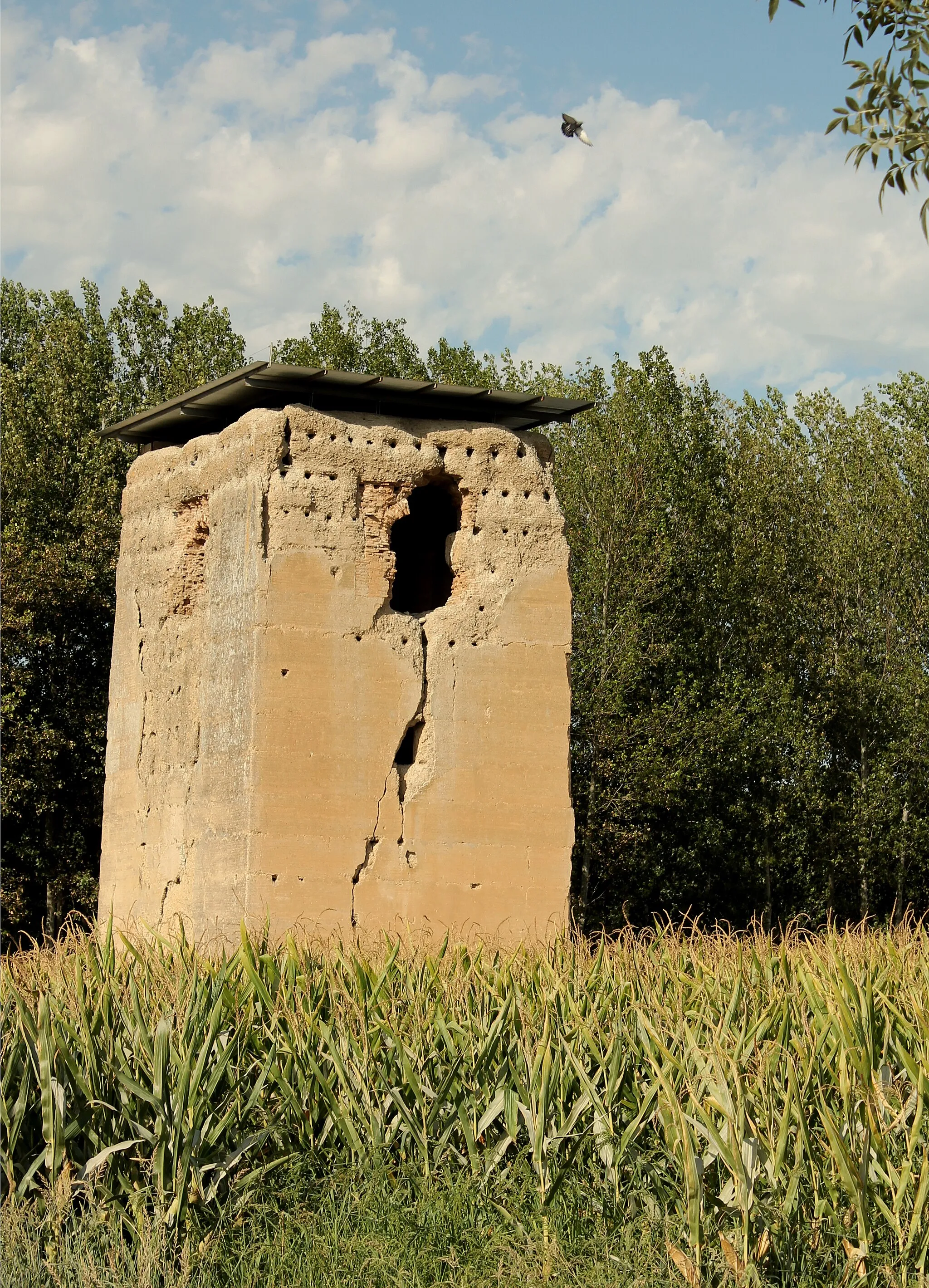 Photo showing: La torre entre cultivos