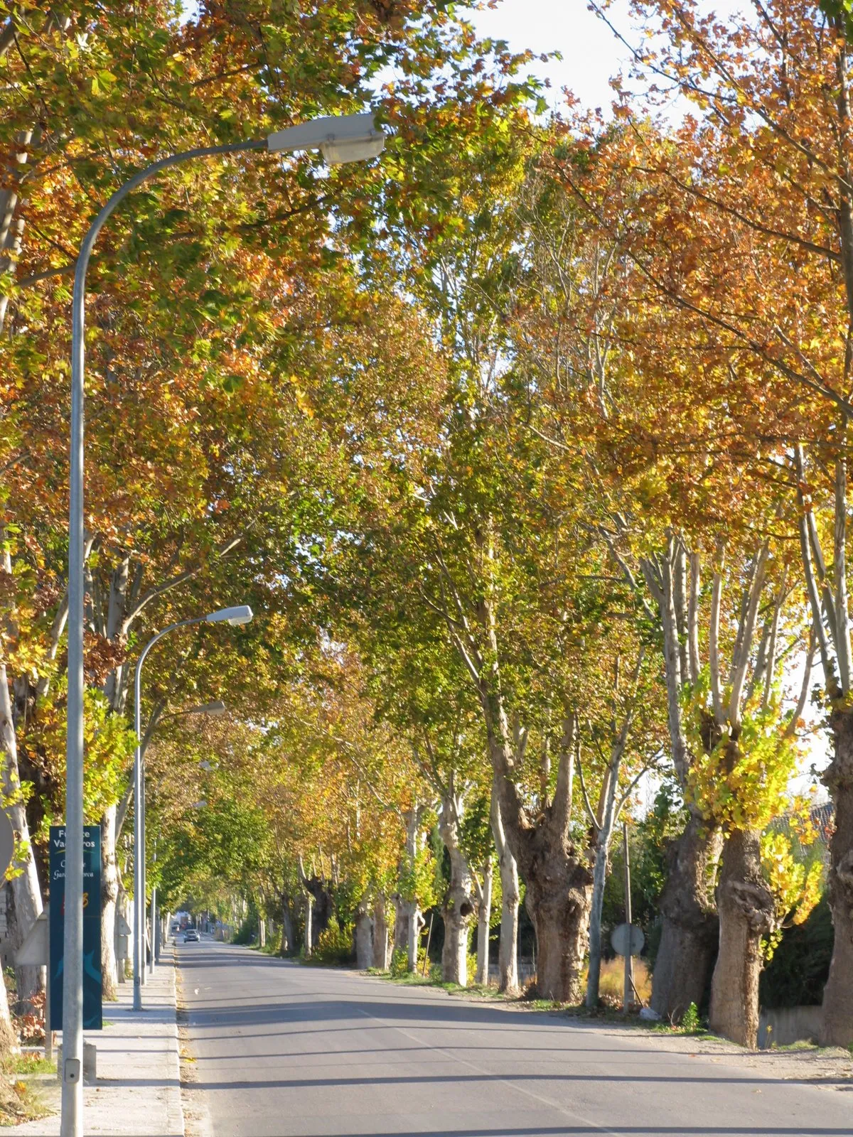 Photo showing: C/Paseo de la Reina, en Fuente Vaqueros (Granada, España)