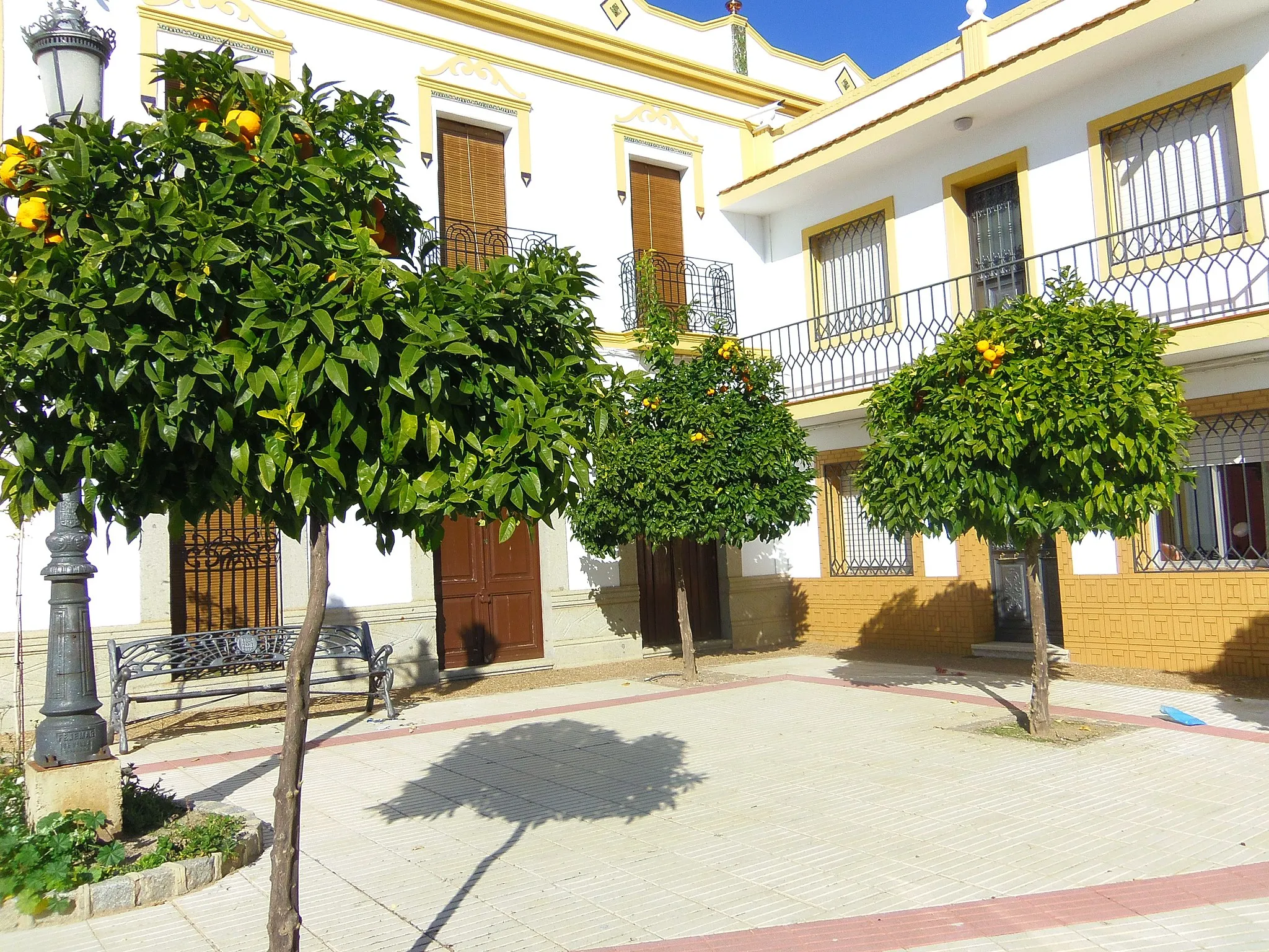 Photo showing: Naranjos en una plazoleta de Monterrubio de la Serena _ Provincia de Badajoz (comunidad autónoma de Extremadura).