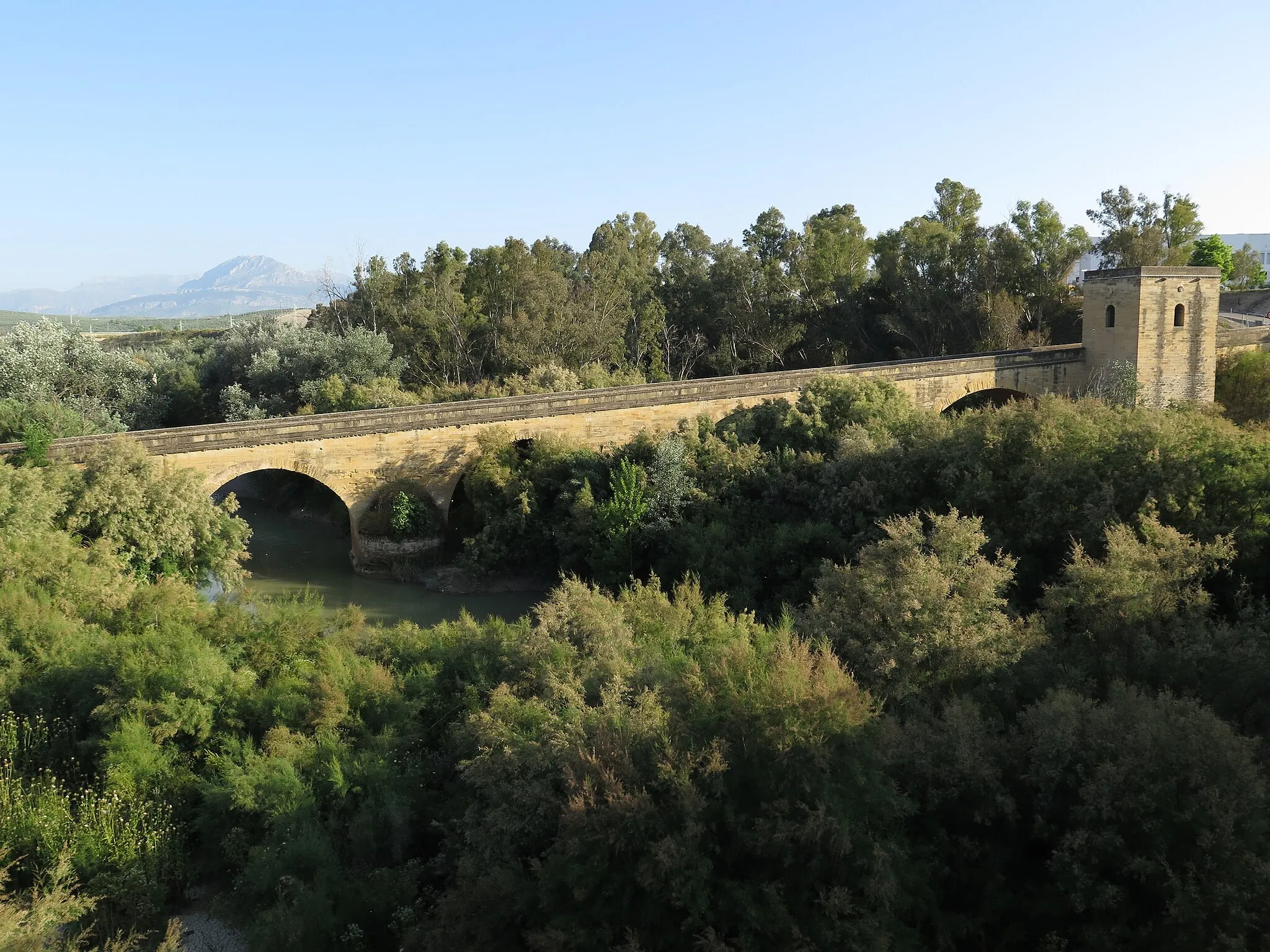 Photo showing: Vista general del Puente del Obispo.