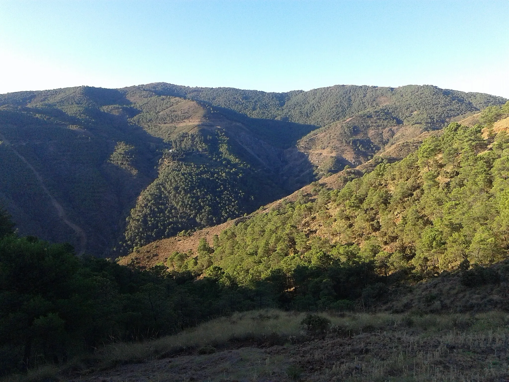 Photo showing: Sierra Parda de Tolox y Pico Aranda desde el camino Tolox-Puerto de las Golondrinas