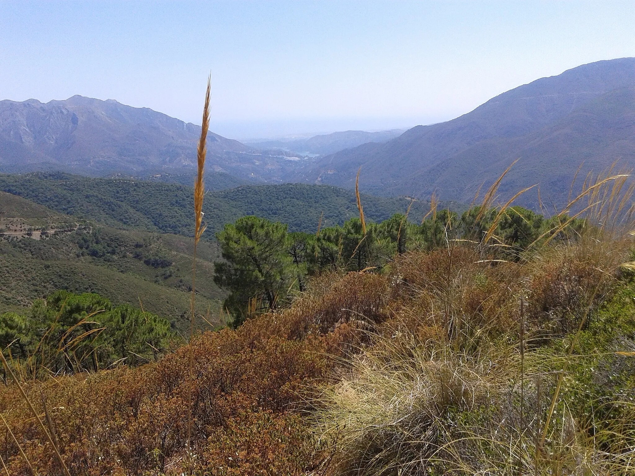 Photo showing: Istan, Embalse de la Concepción y San Pedro Alcantara desde la Sierra de Tolox