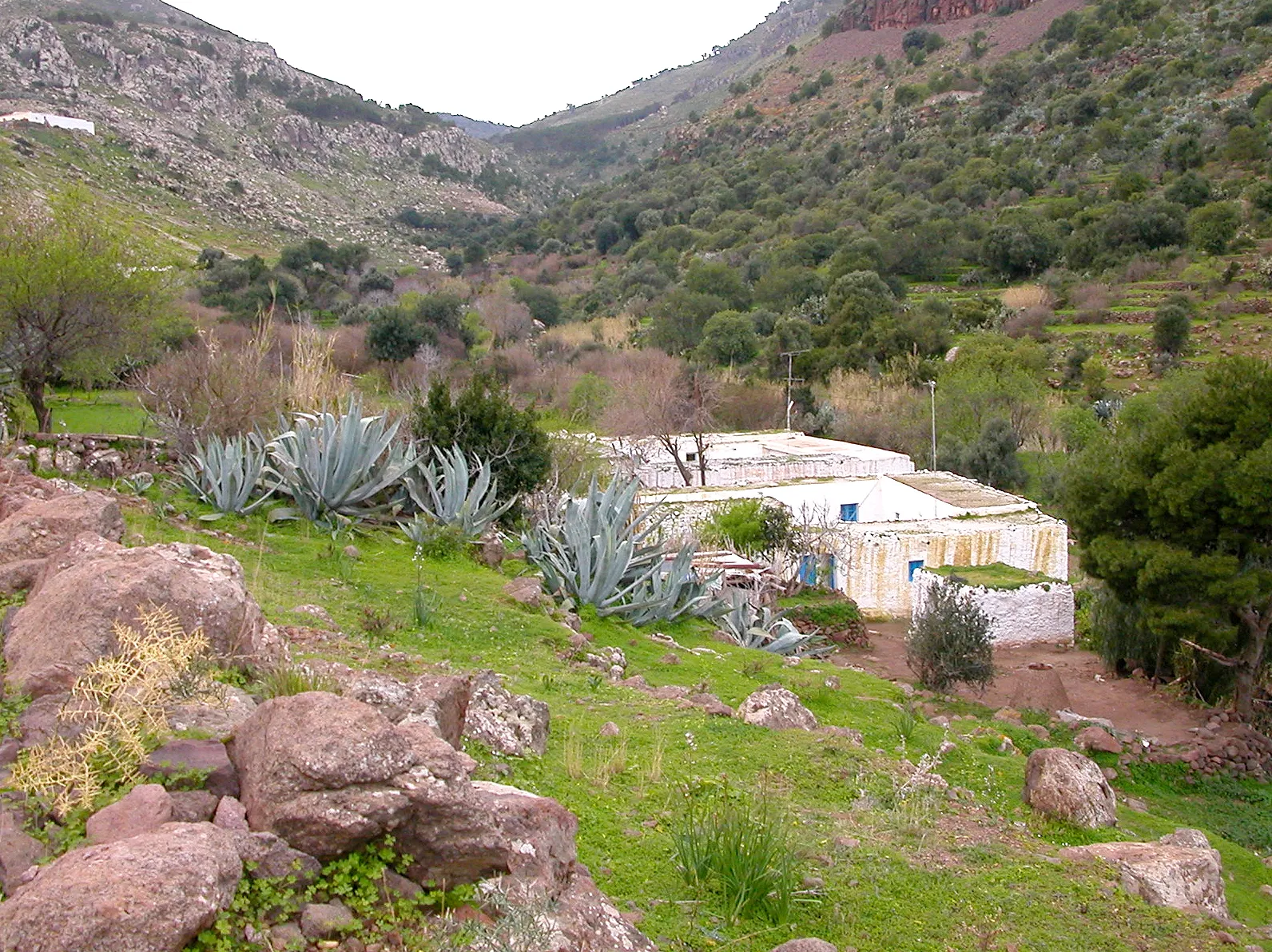 Photo showing: Comienzo tras pasar barrio Chino, Marruecos.