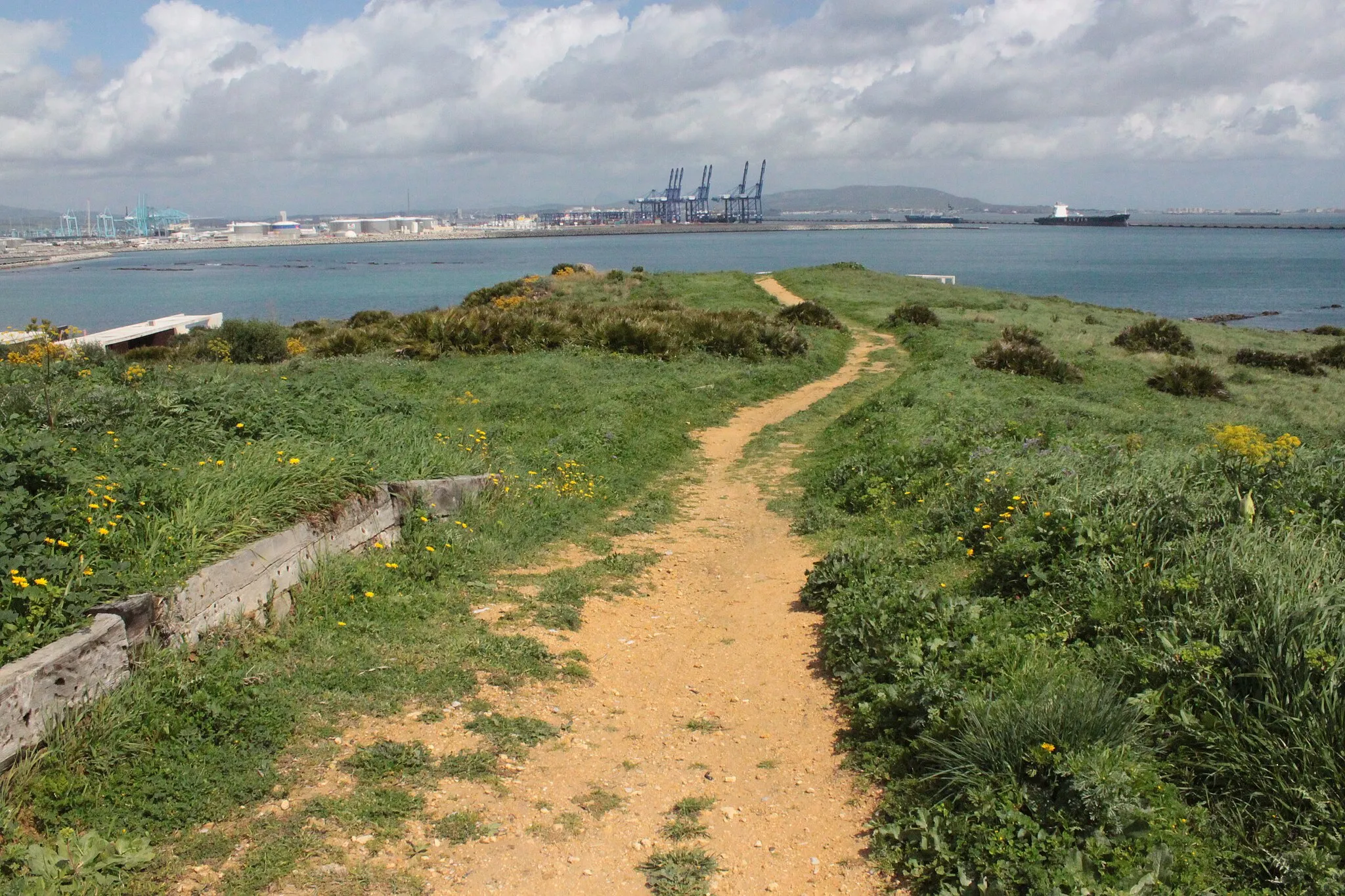 Photo showing: Parque del Centenario de Algeciras, España.