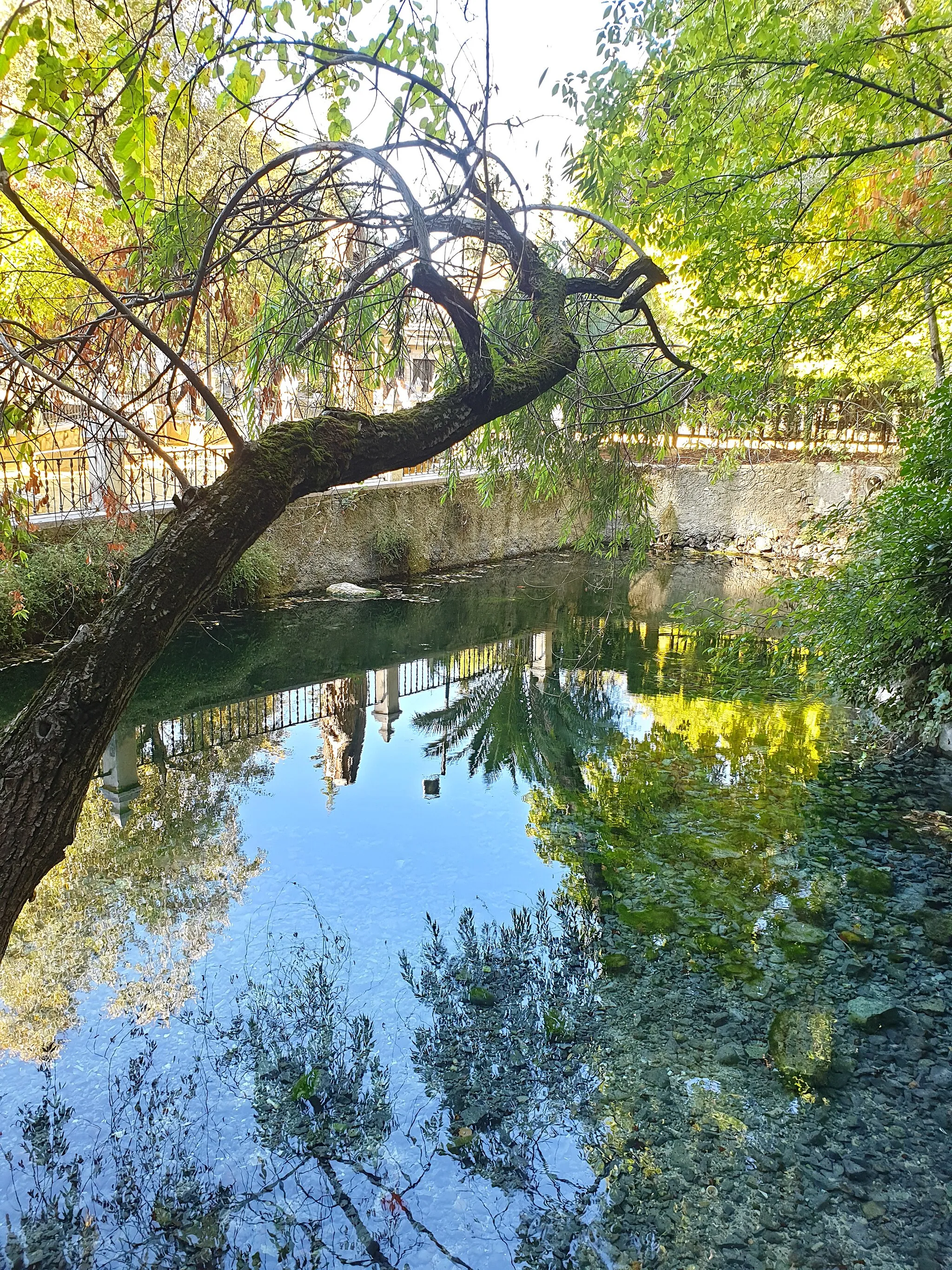 Photo showing: Manantial de la Fuente del Río