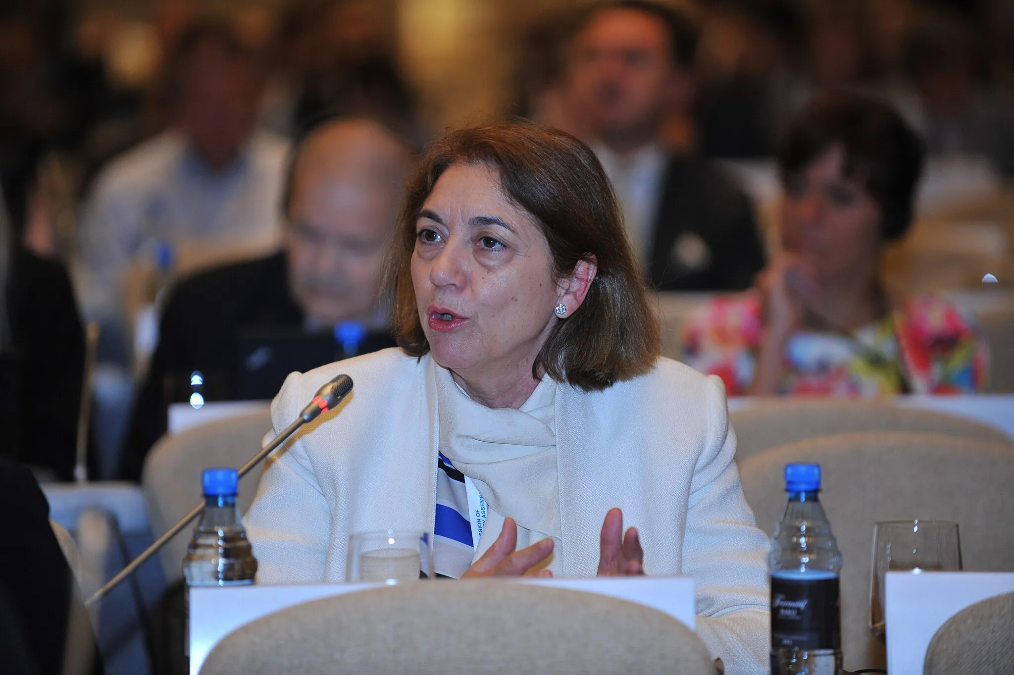 Photo showing: VP Isabel Pozuelo (MP, Spain) addresses the Assembly, 28 June 2014