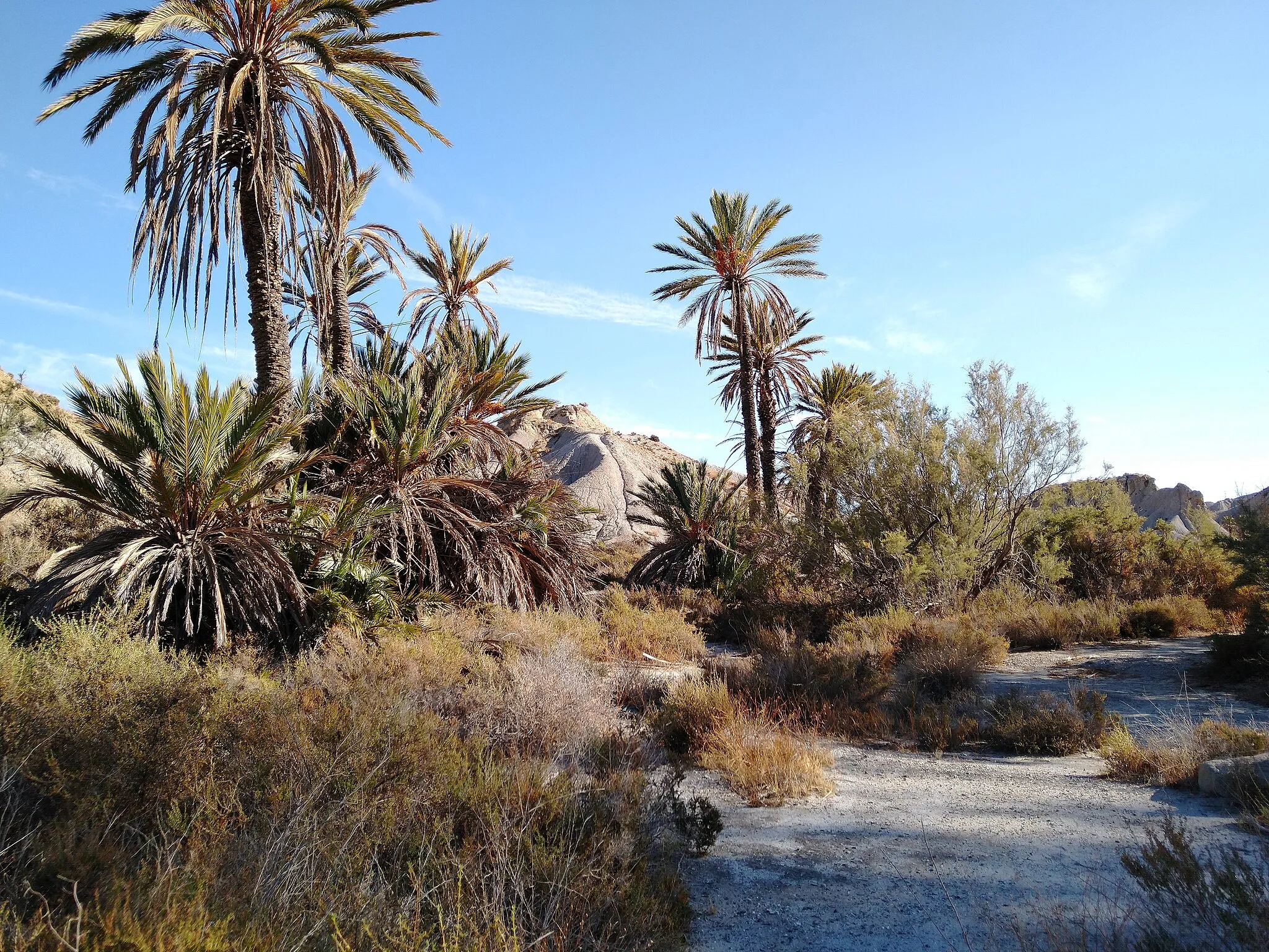 Photo showing: oasis artificial de Tabernas, lugar de rodaje cinematográfico en el desierto de Tabernas, Almería.