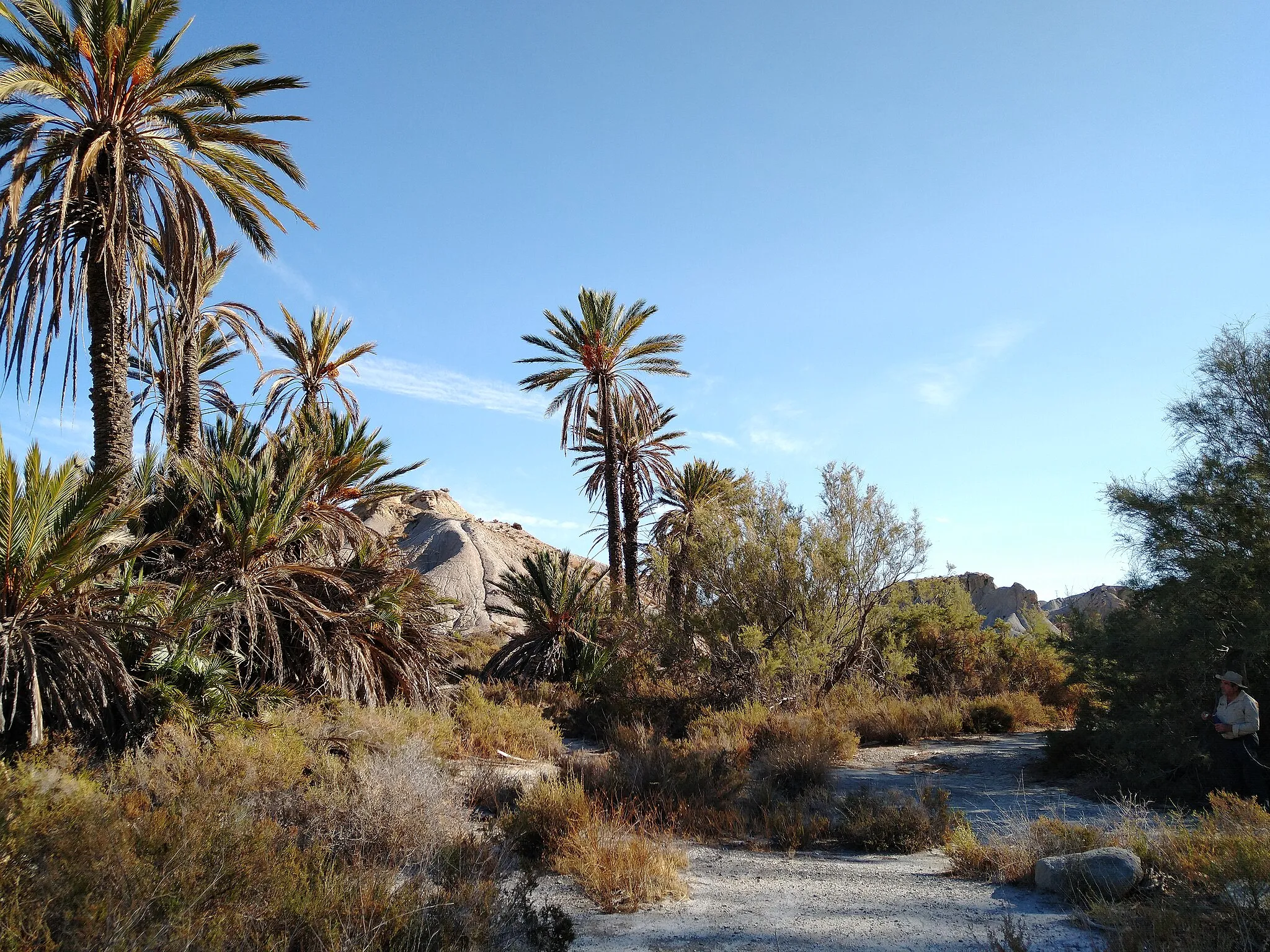 Photo showing: oasis artificial de Tabernas, lugar de rodaje cinematográfico en el desierto de Tabernas, Almería.