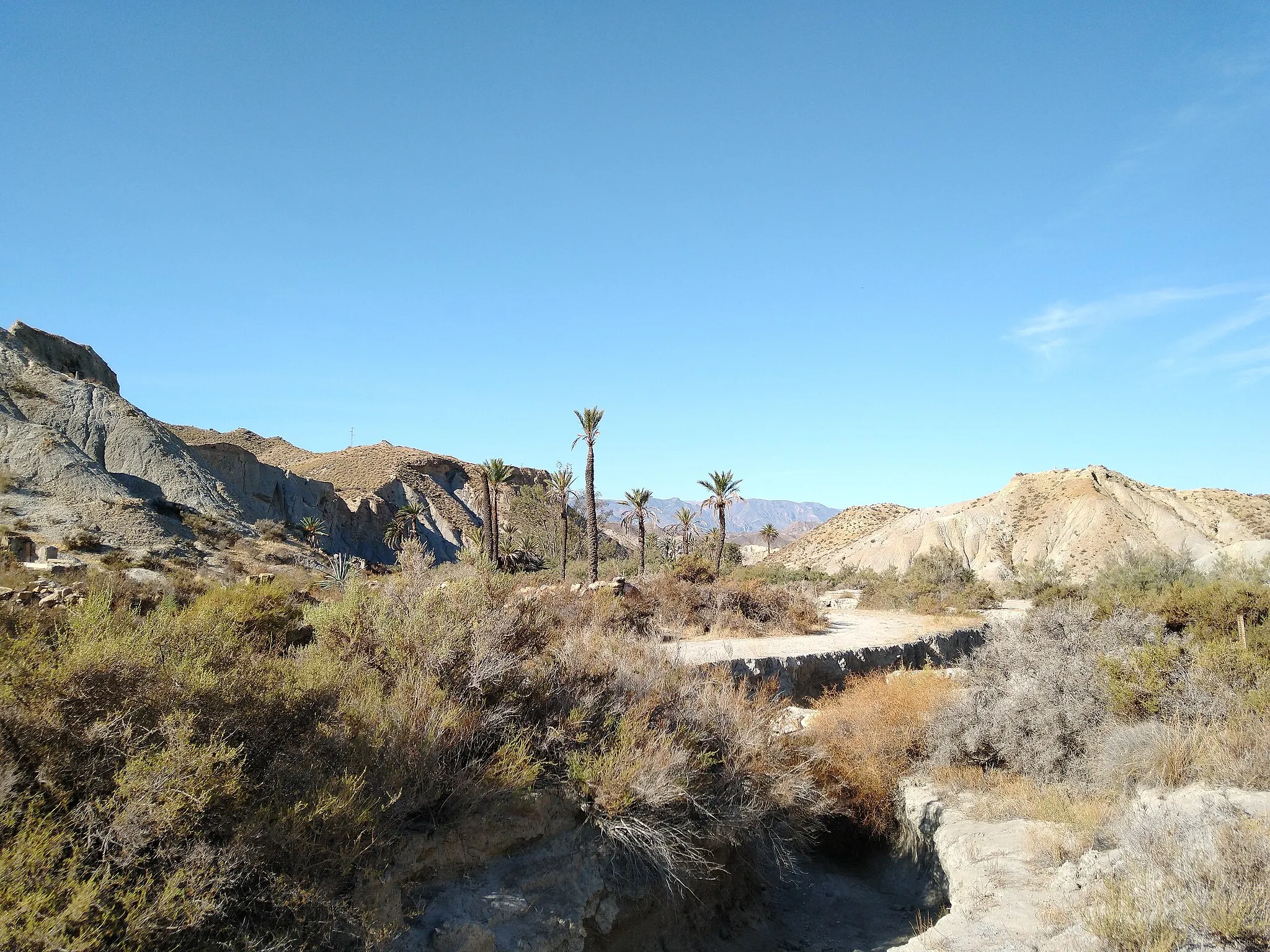 Photo showing: oasis artificial de Tabernas, lugar de rodaje cinematográfico en el desierto de Tabernas, Almería.