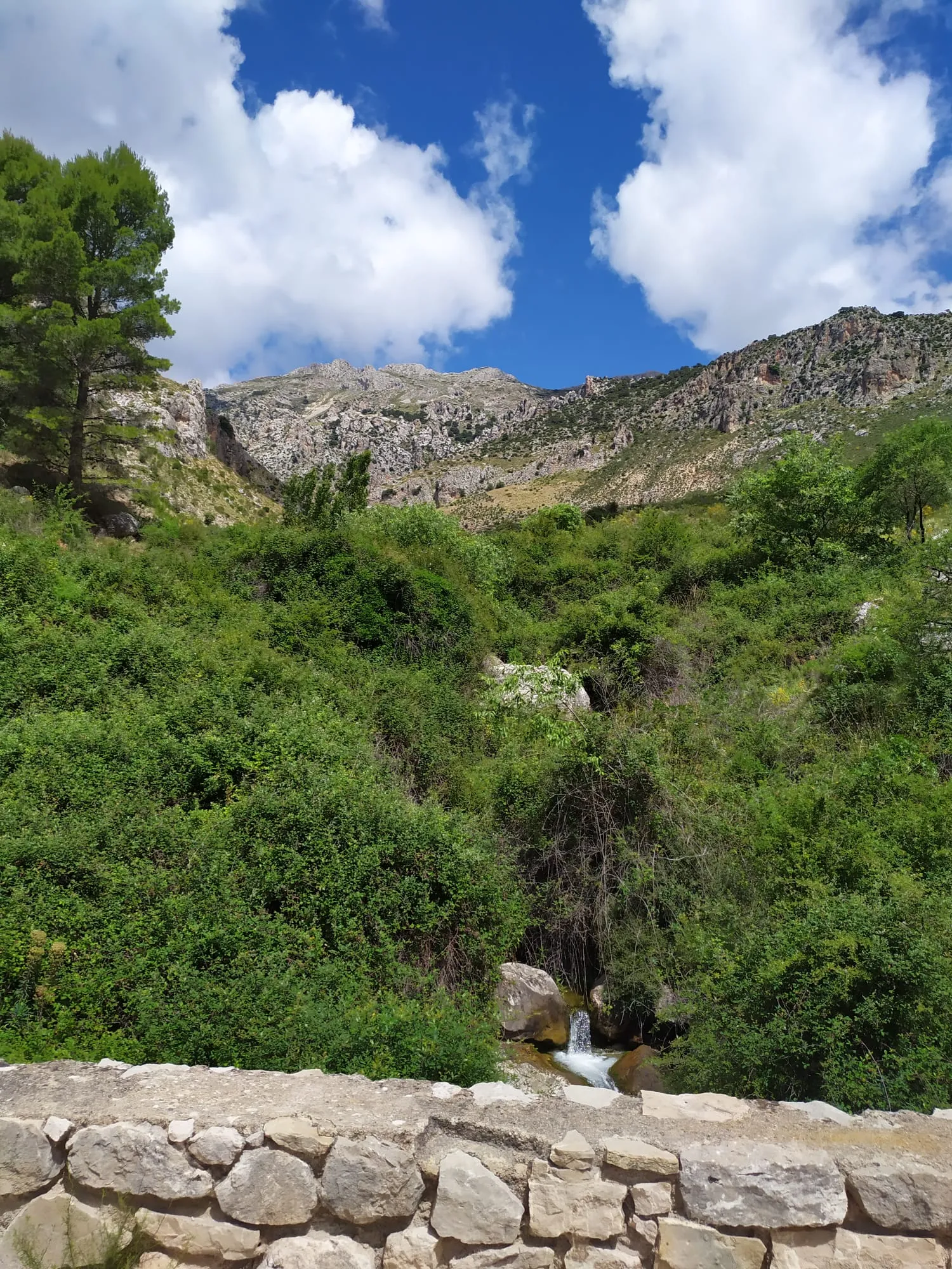 Photo showing: Desfiladero del río Gargantón visto desde el puente (Bélmez de la Moraleda)