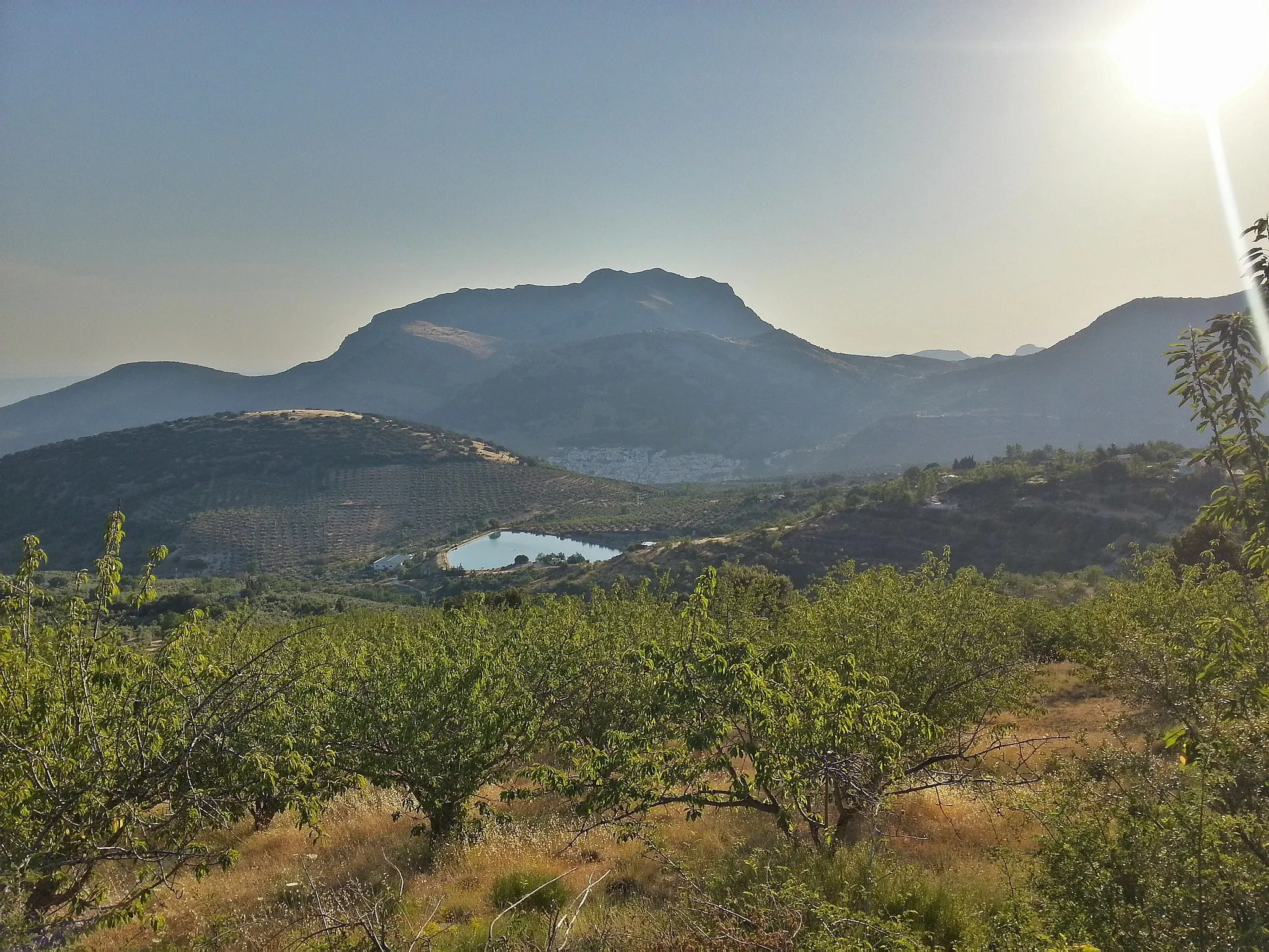 Photo showing: Campos de cerezos en el parque natural de Sierra Mágina. Torres al fondo.