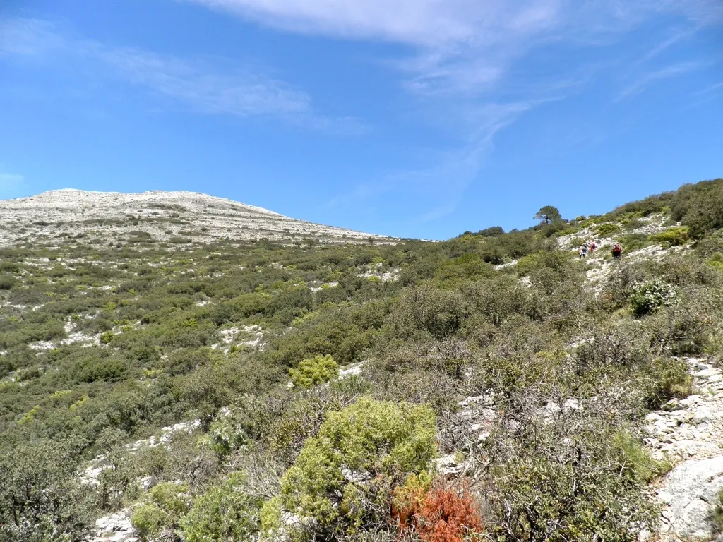 Photo showing: Sierra de Almijara