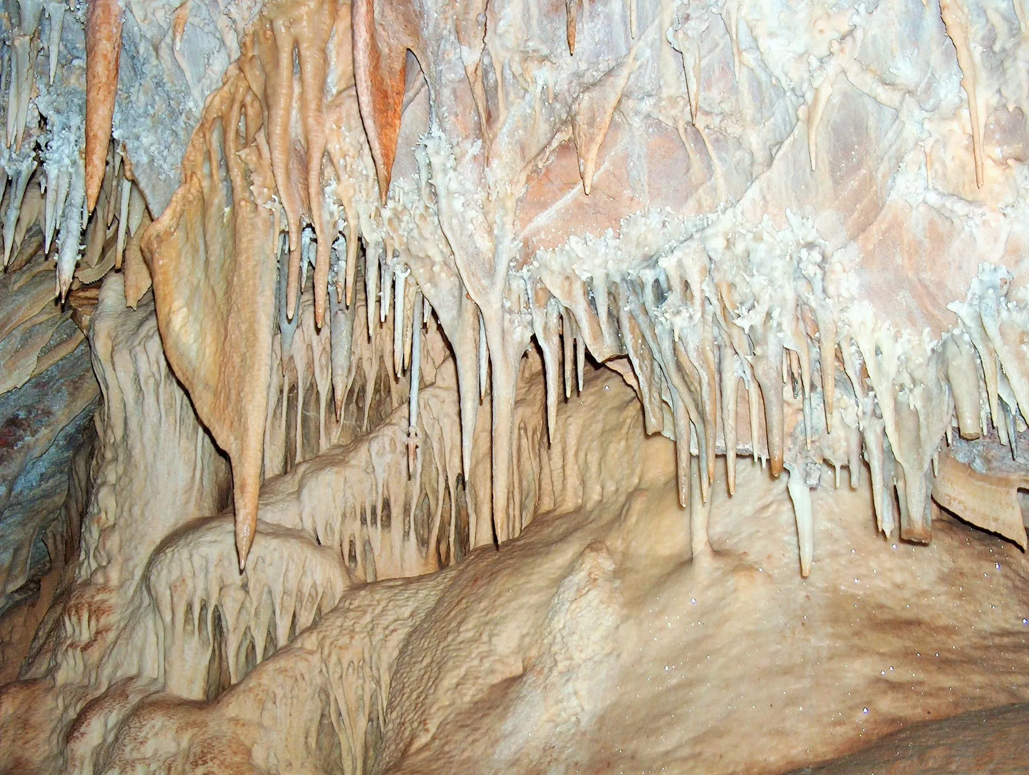 Photo showing: Cueva-1
