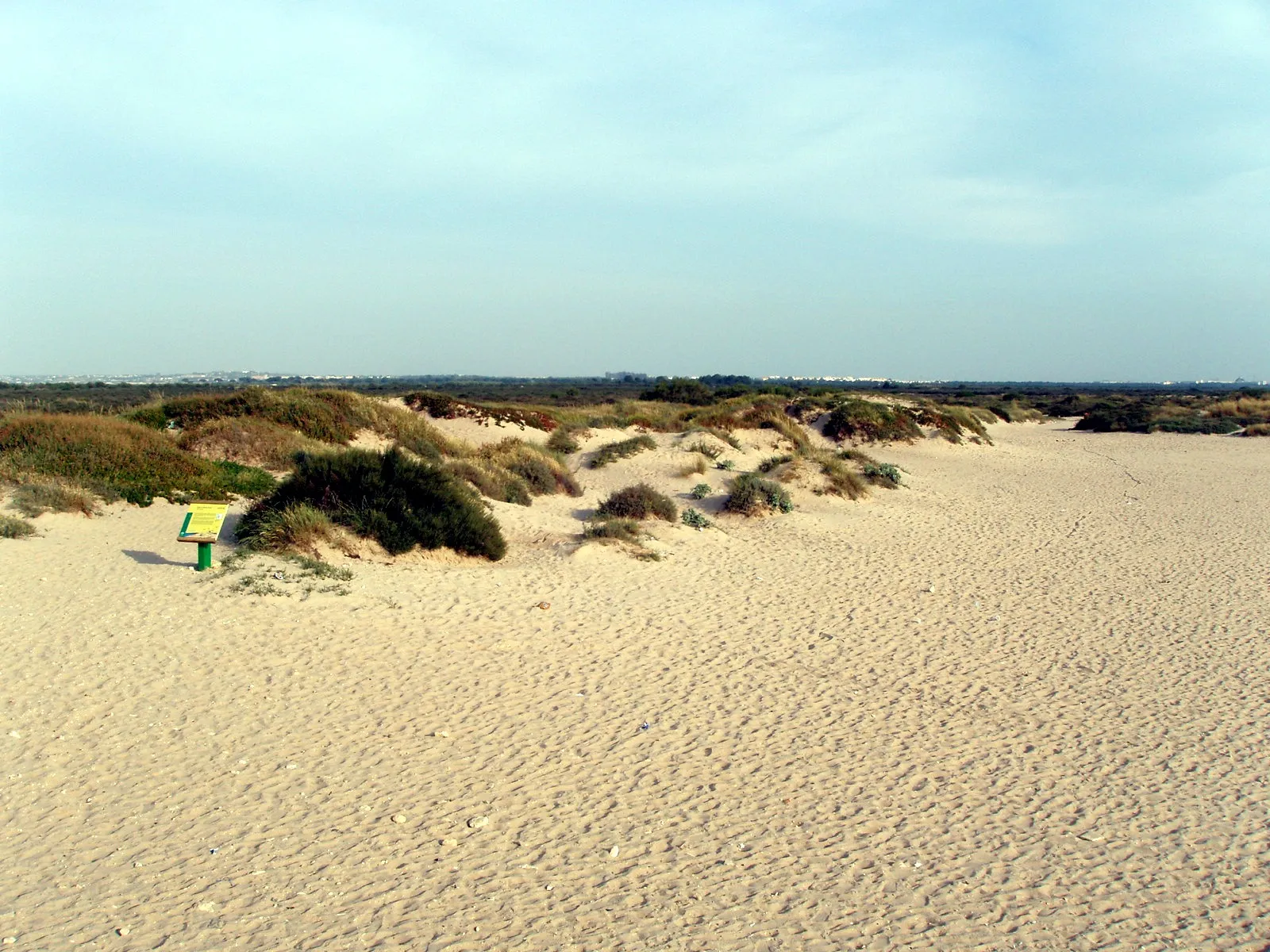 Photo showing: Playa de Valdelagrana, El Puerto de Santa María, Cádiz, España